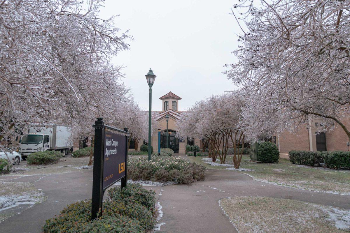 Frozen tree branches surround the entrance on Feb. 15, 2021 of the West Campus Apartments.