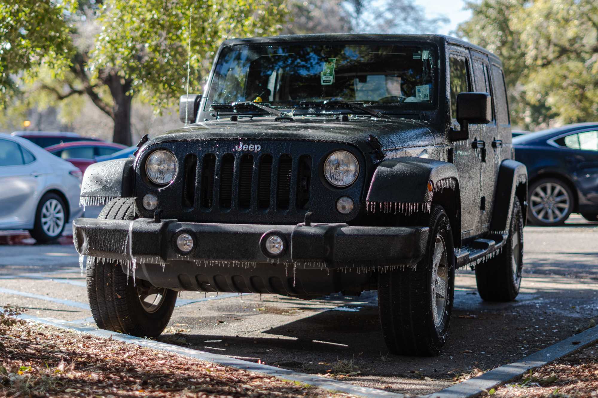 PHOTOS: Freezing temperatures bring an icy morning to Baton Rouge