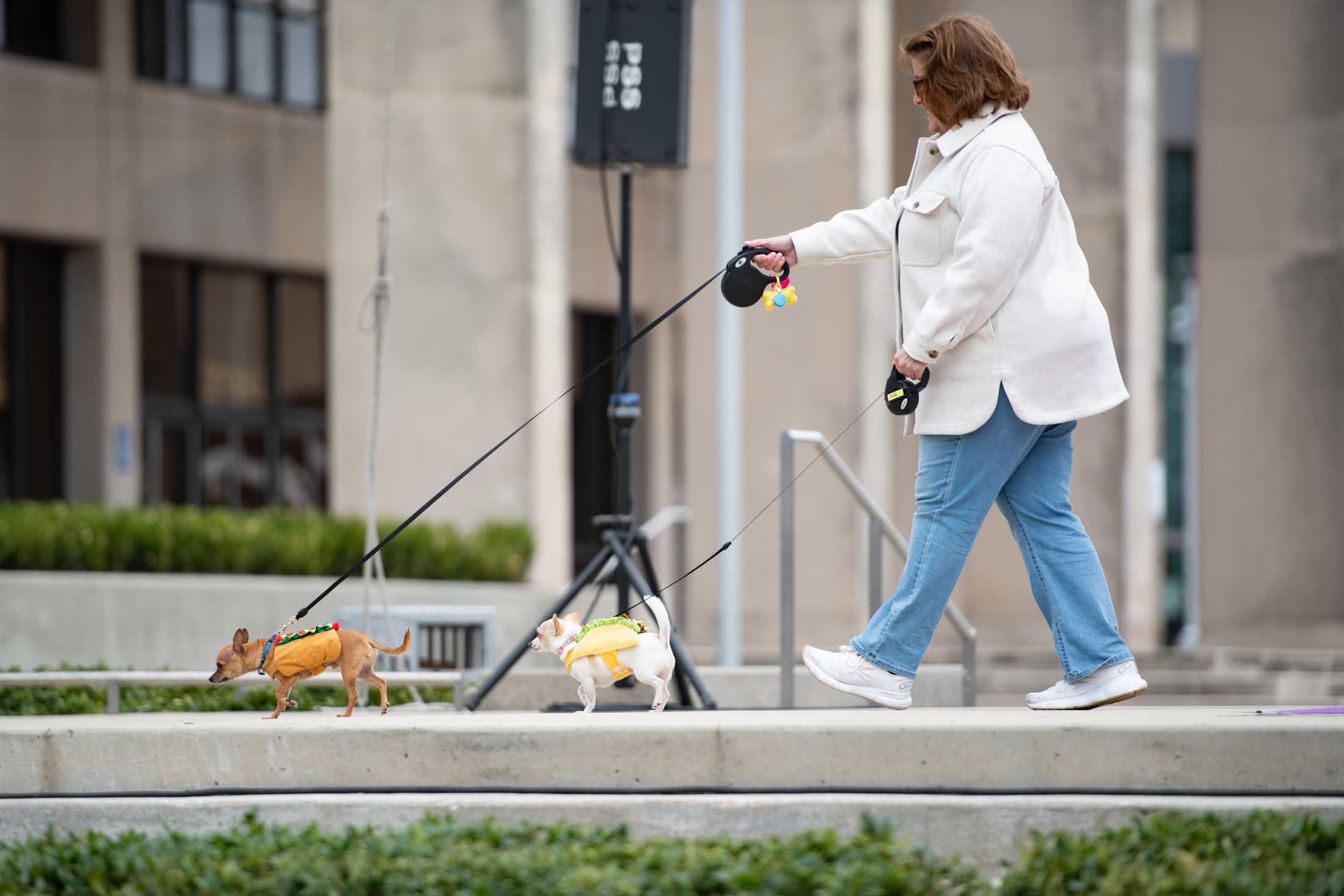 PHOTOS: Mystic Krewe of Mutts: Dogs take over downtown Baton Rouge