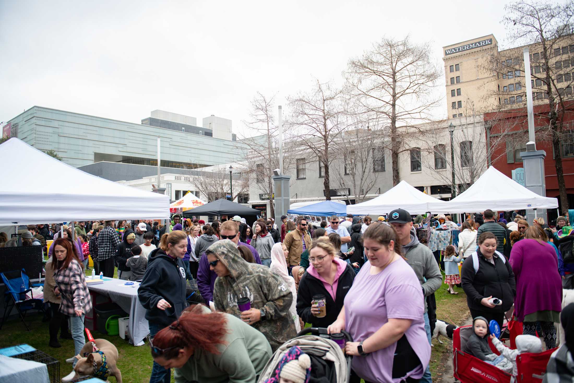 PHOTOS: Mystic Krewe of Mutts: Dogs take over downtown Baton Rouge