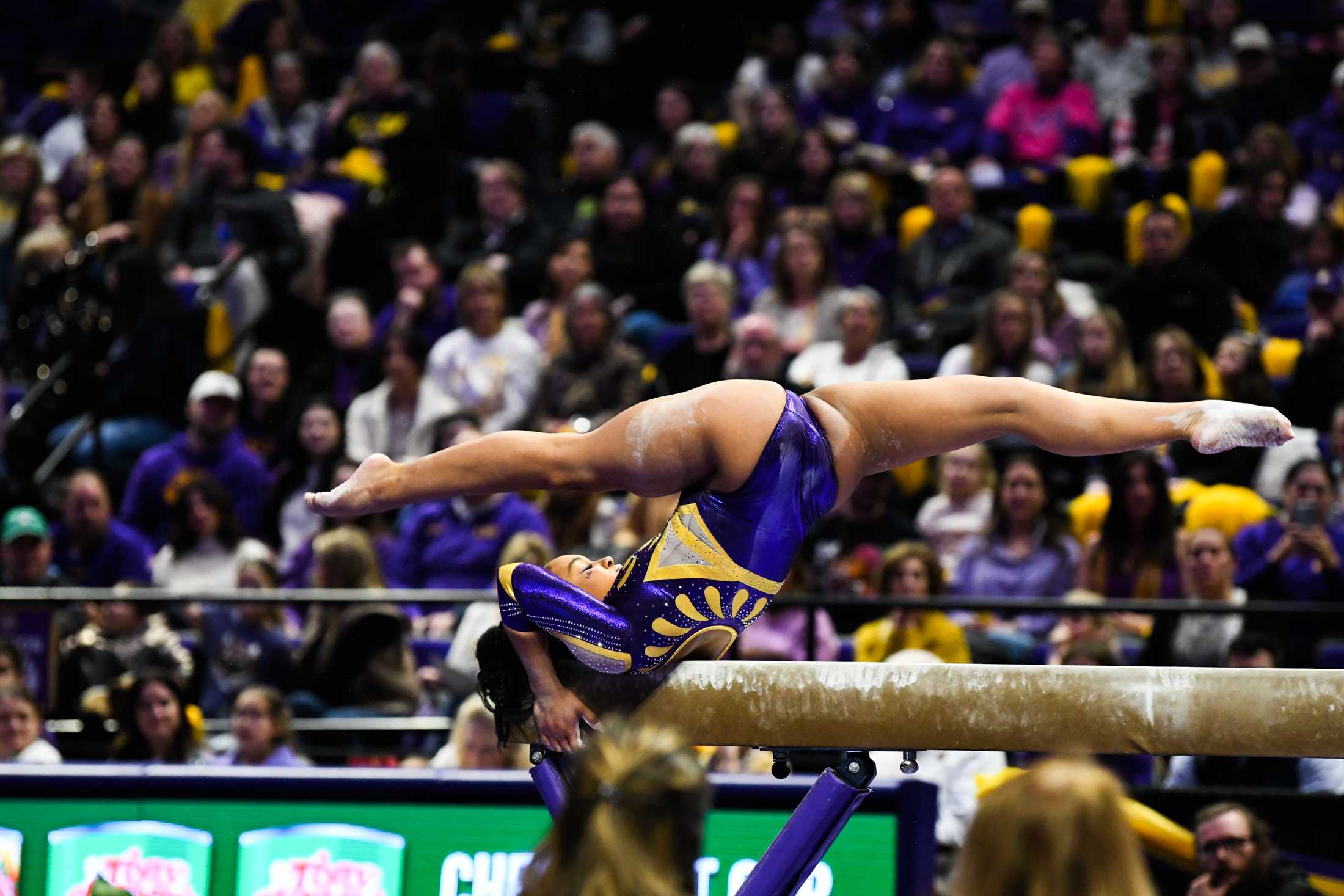 PHOTOS: A journey through LSU gymnastics' championship season