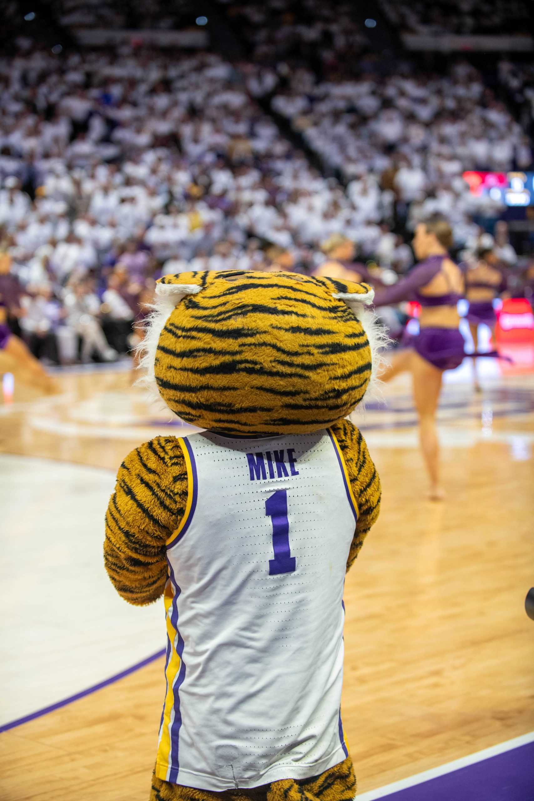 PHOTOS: LSU women's basketball falls 76-70 to South Carolina in the PMAC