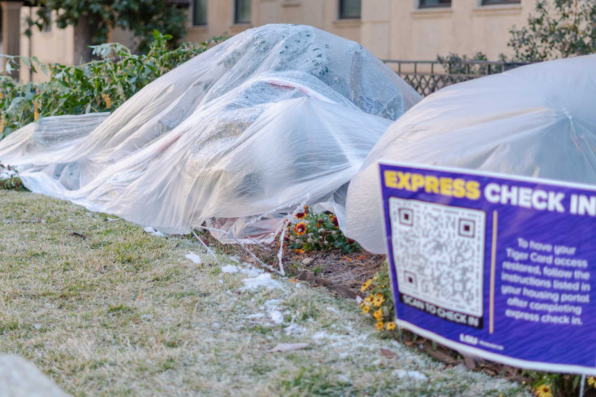 PHOTOS: Freezing temperatures bring an icy morning to Baton Rouge