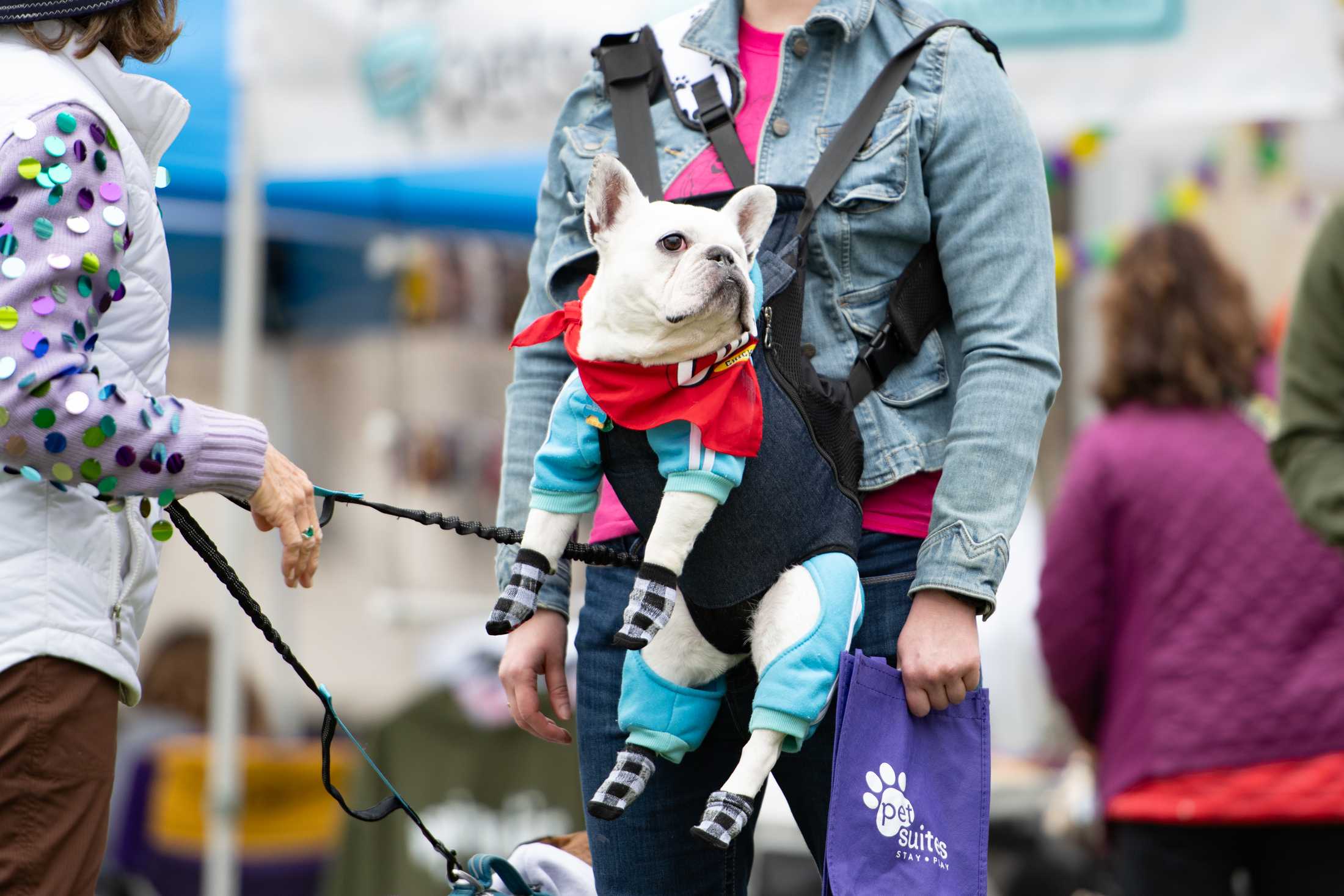 PHOTOS: Mystic Krewe of Mutts: Dogs take over downtown Baton Rouge