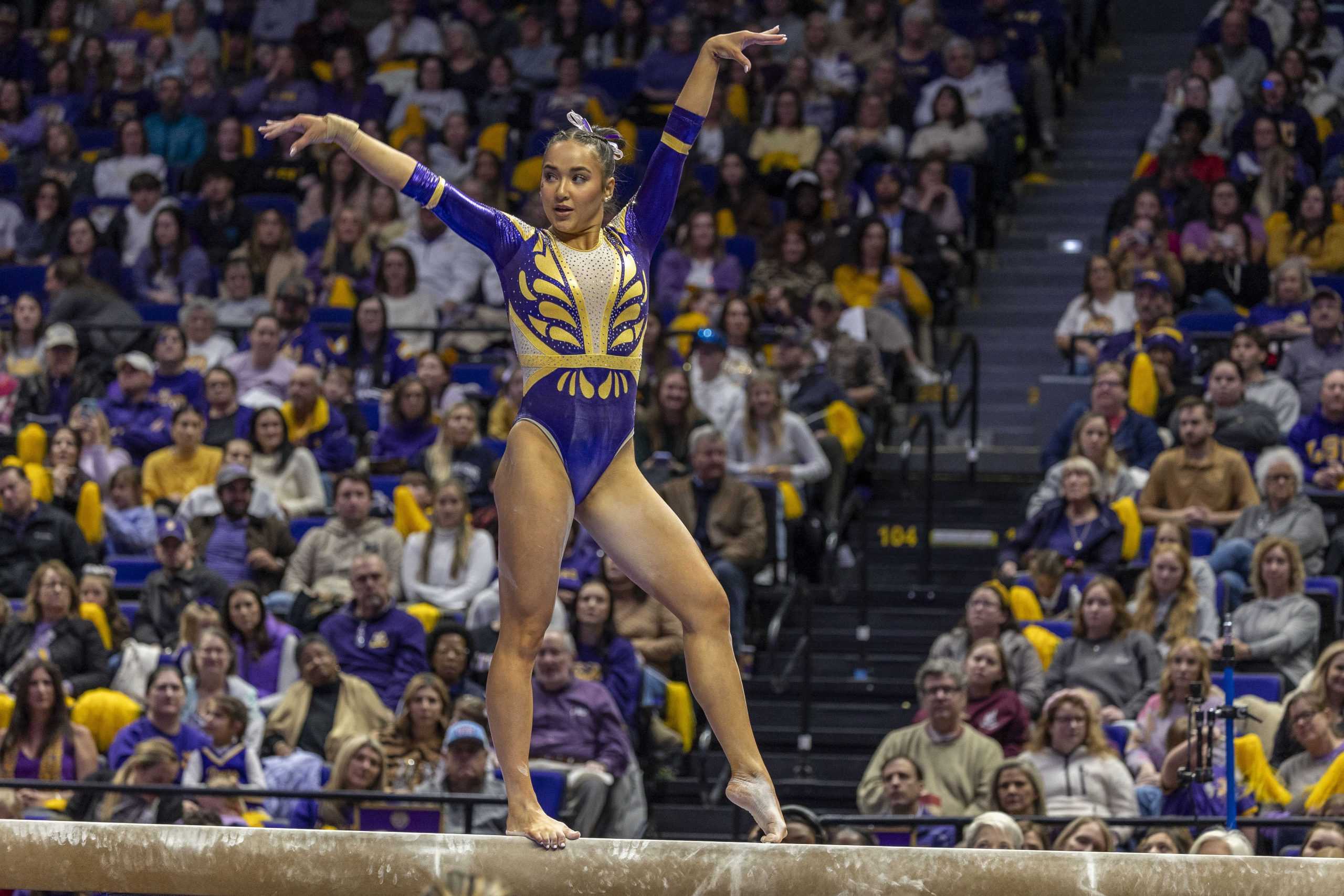 PHOTOS: A journey through LSU gymnastics' championship season