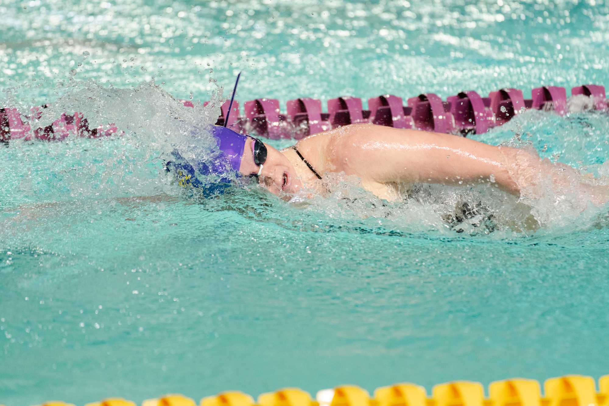 PHOTOS: LSU swim and dive falls to Texas A&M