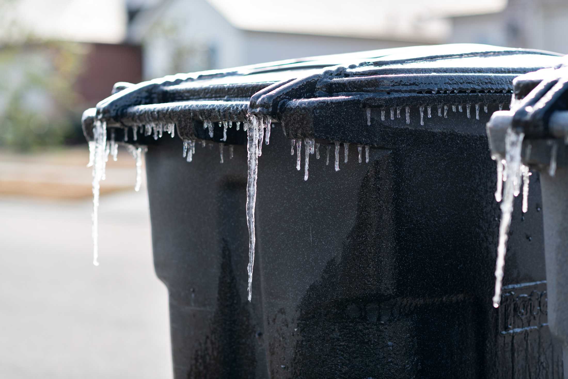 PHOTOS: Freezing temperatures bring an icy morning to Baton Rouge