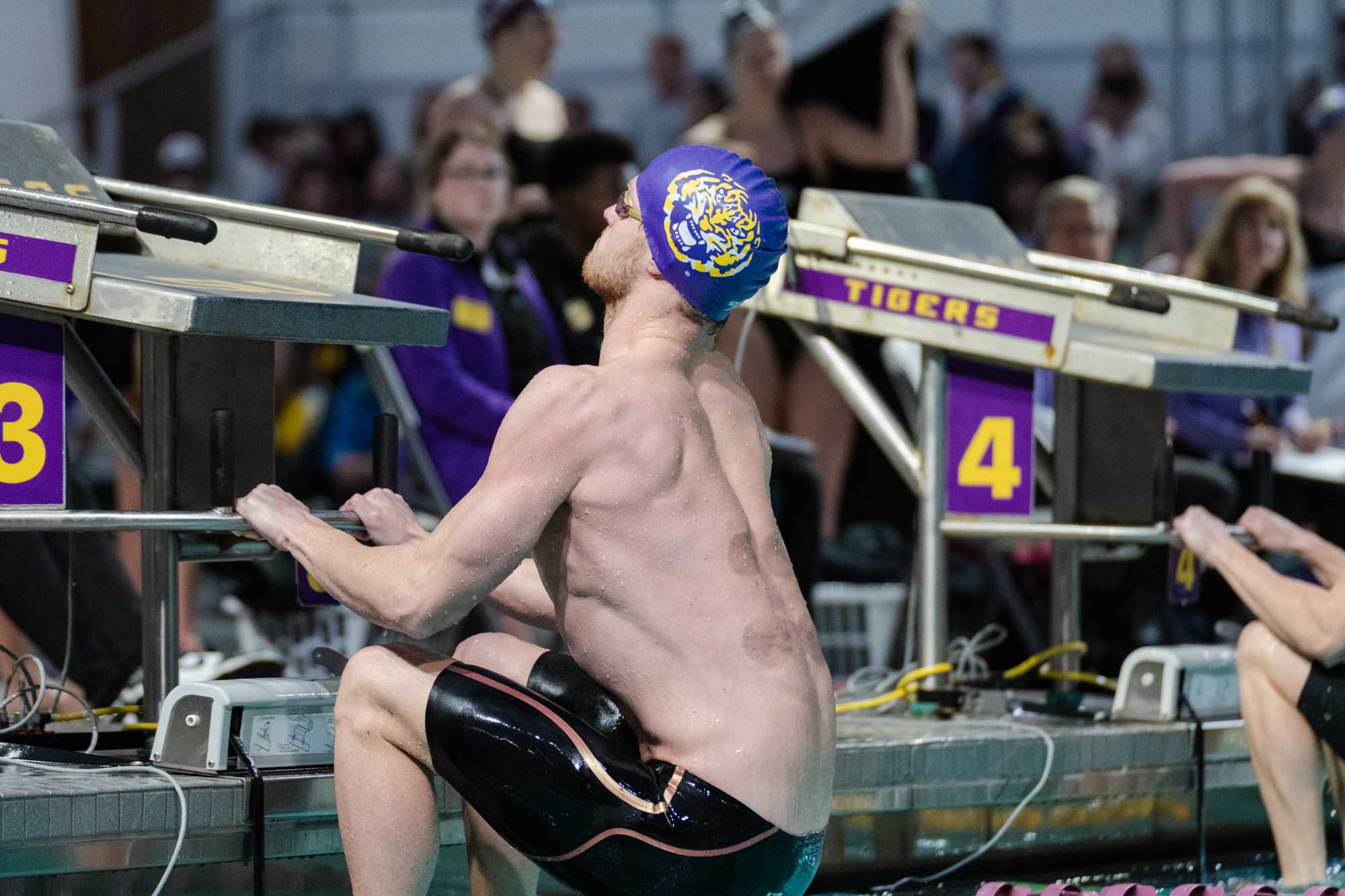 PHOTOS: LSU swim and dive falls to Texas A&M