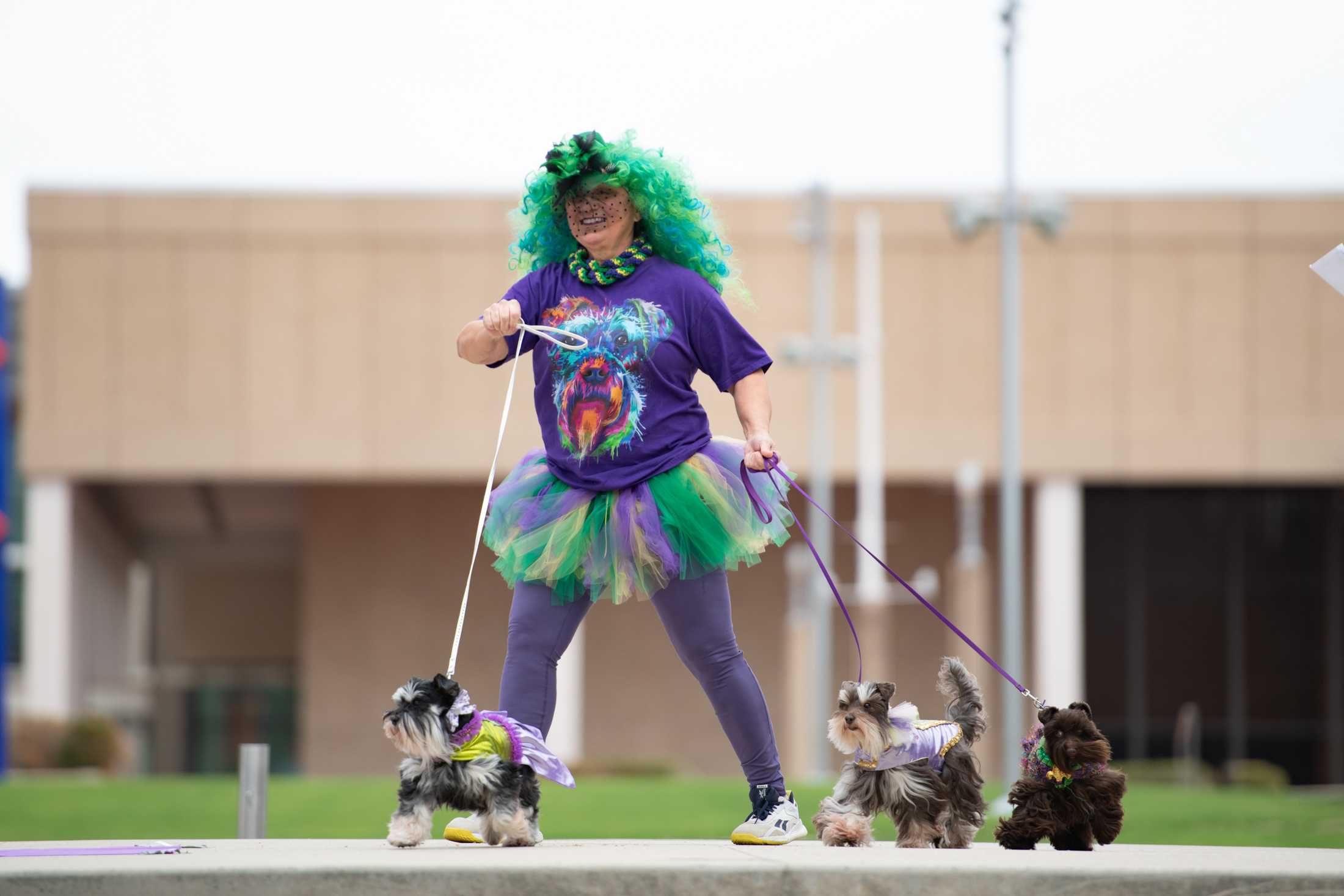 PHOTOS: Mystic Krewe of Mutts: Dogs take over downtown Baton Rouge