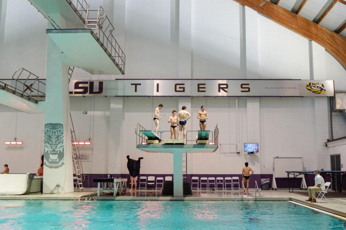 Divers start warming up Saturday, Jan. 20, 2024, prior to LSU facing Texas A&amp;M at the LSU Natatorium in Baton Rouge, La.