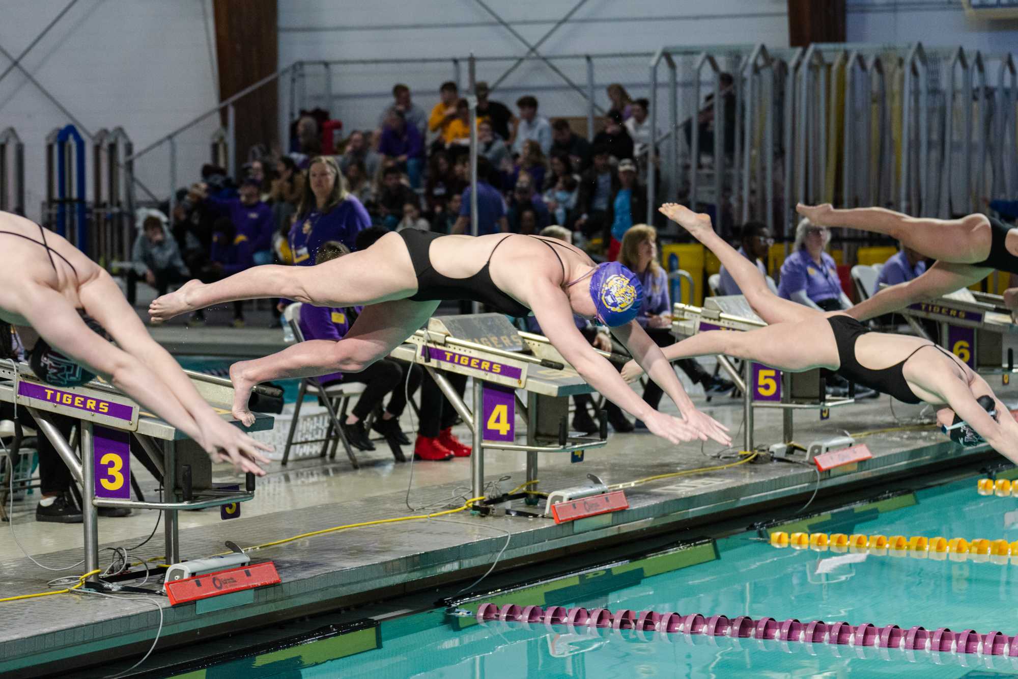 PHOTOS: LSU swim and dive falls to Texas A&M