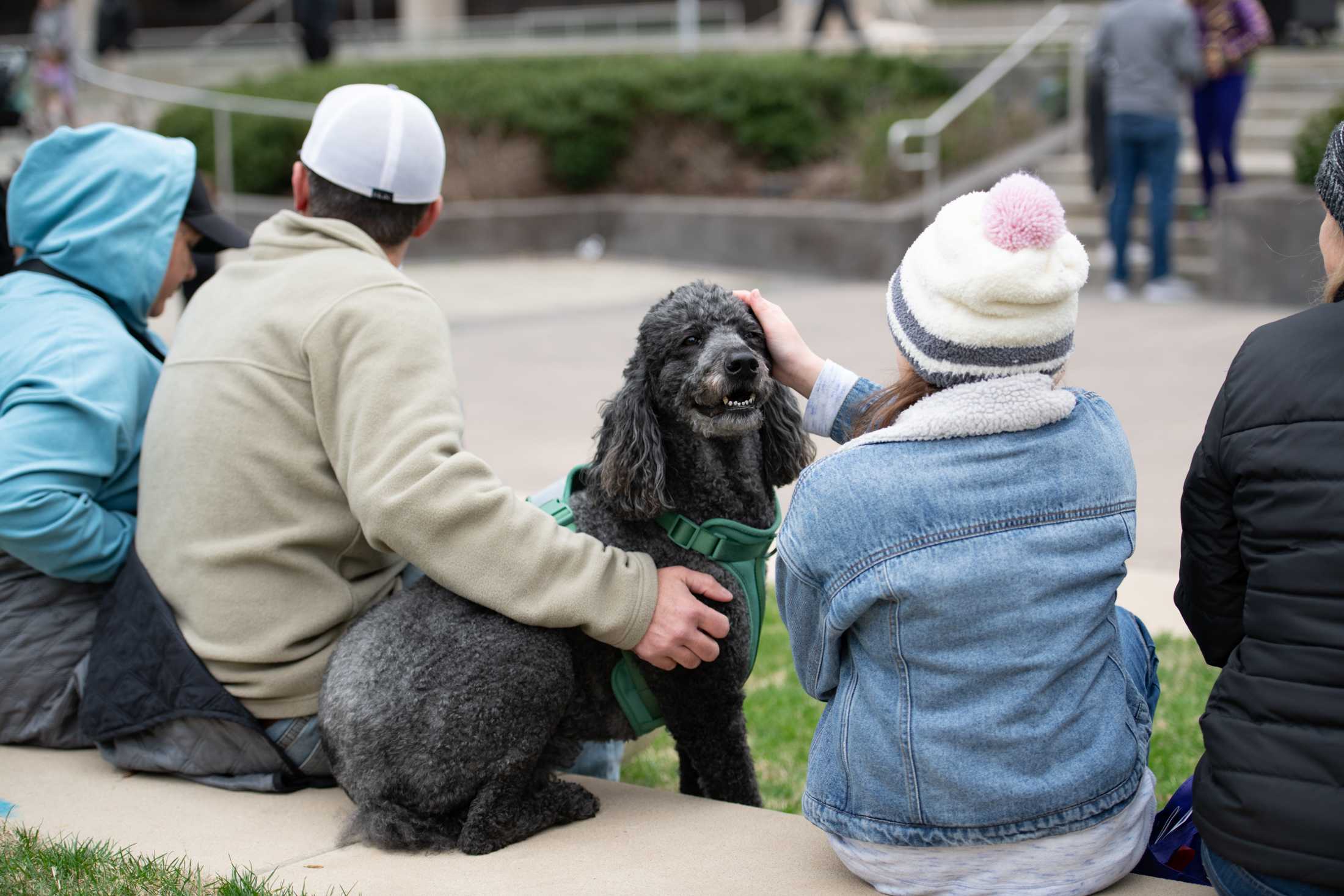 PHOTOS: Mystic Krewe of Mutts: Dogs take over downtown Baton Rouge