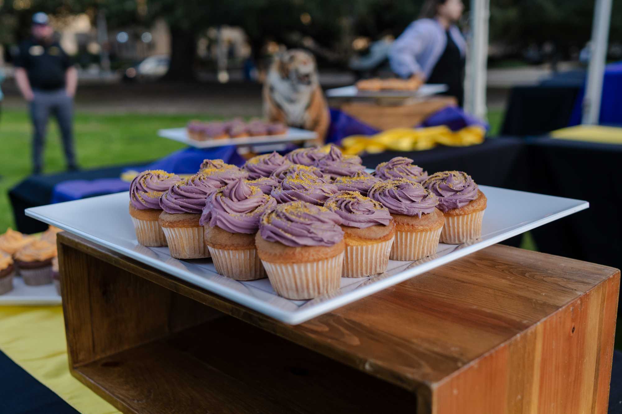 PHOTOS: LSU celebrates 60th anniversary of the Student Union