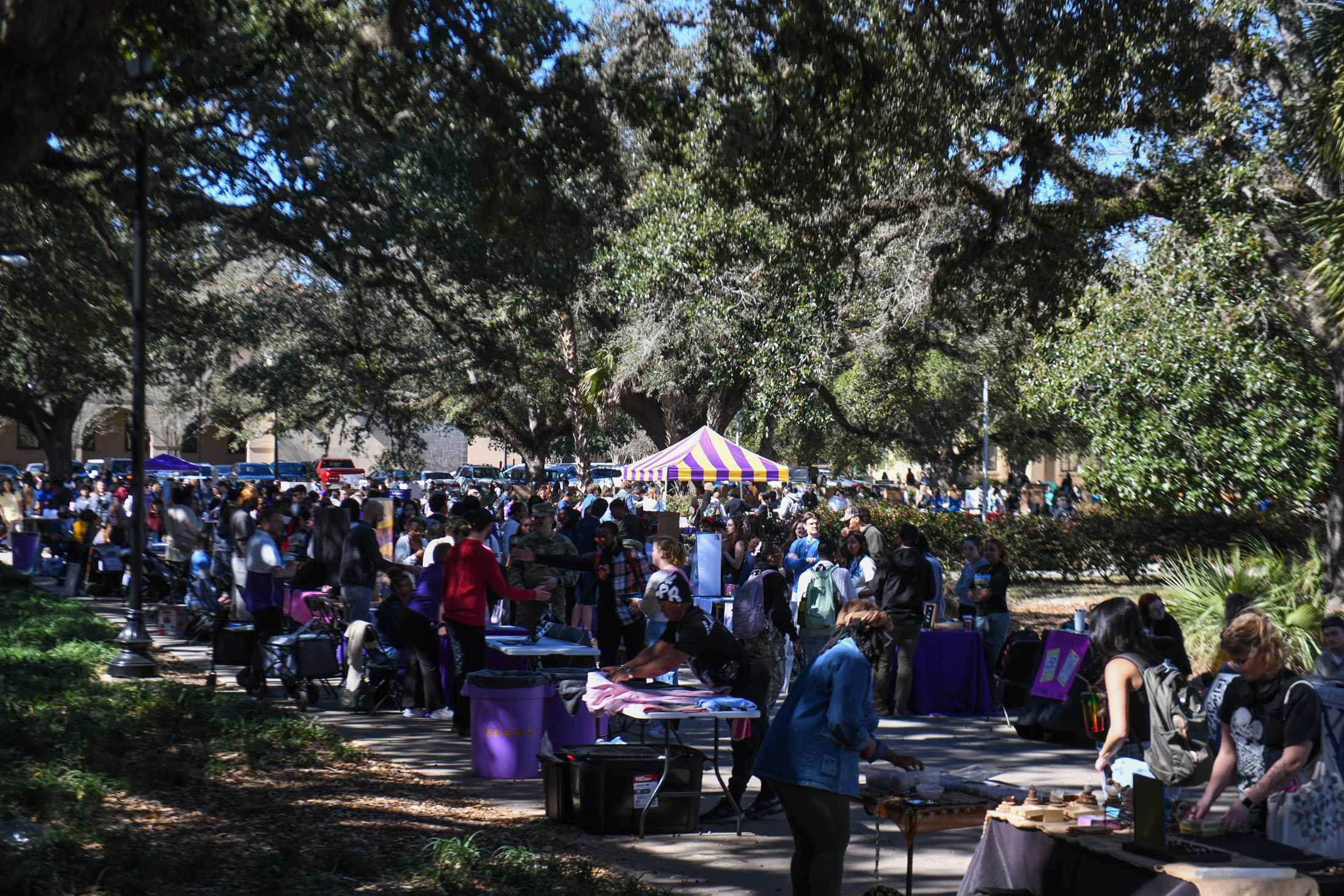 Spring Involvement Fest helps students find their place on campus