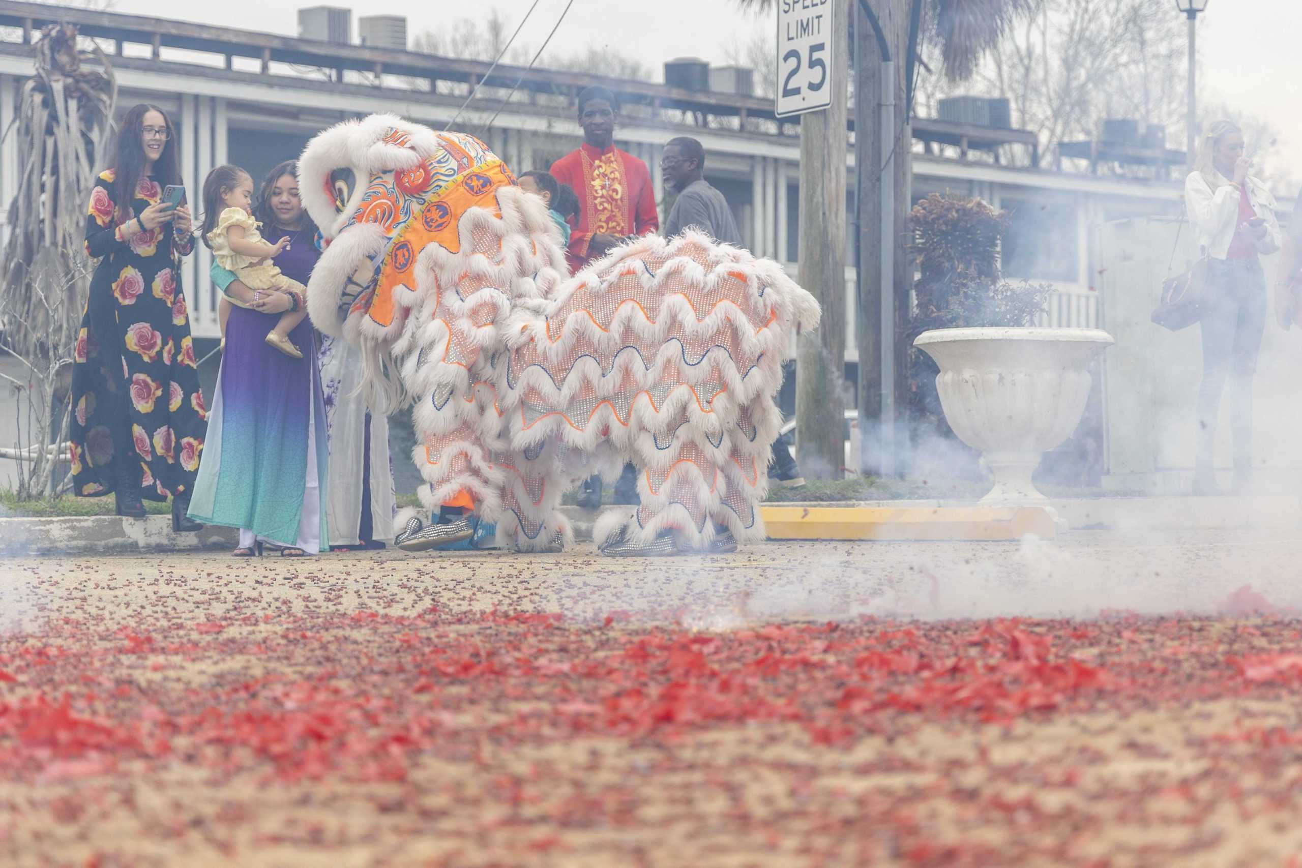 PHOTOS: A Lunar New Year celebration in Baton Rouge