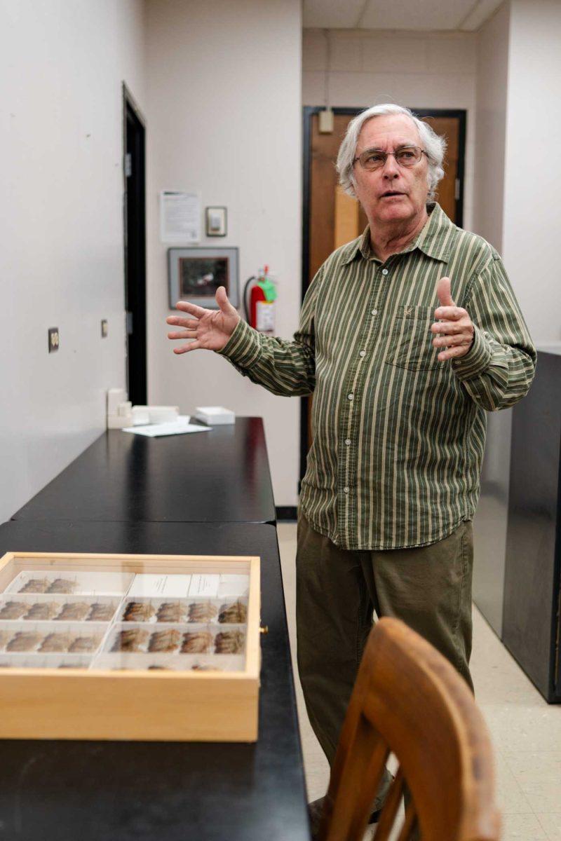 Professor Christopher Carlton discusses cicada emergence Wednesday, Feb. 14, 2024, inside the Life Sciences Building on LSU's campus in Baton Rouge, La.