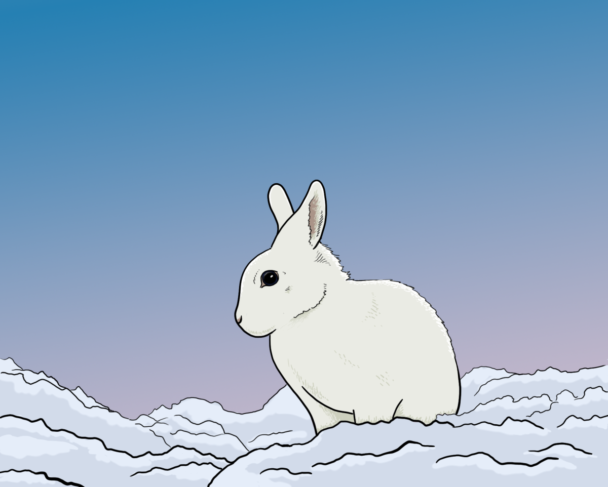 Snow Bunny Graphic