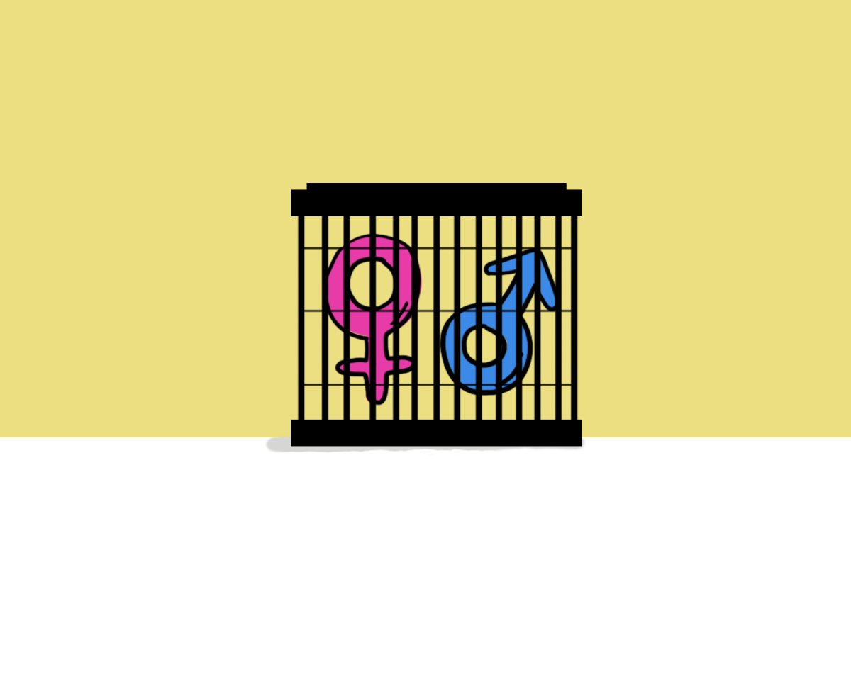 Gender Cage Graphic