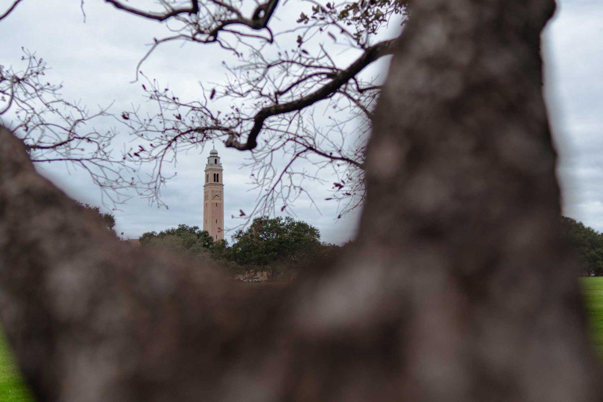 Memorial Tower sits in the distance, Saturday, Jan. 27, 2024, on LSU's campus in Baton Rouge, La.