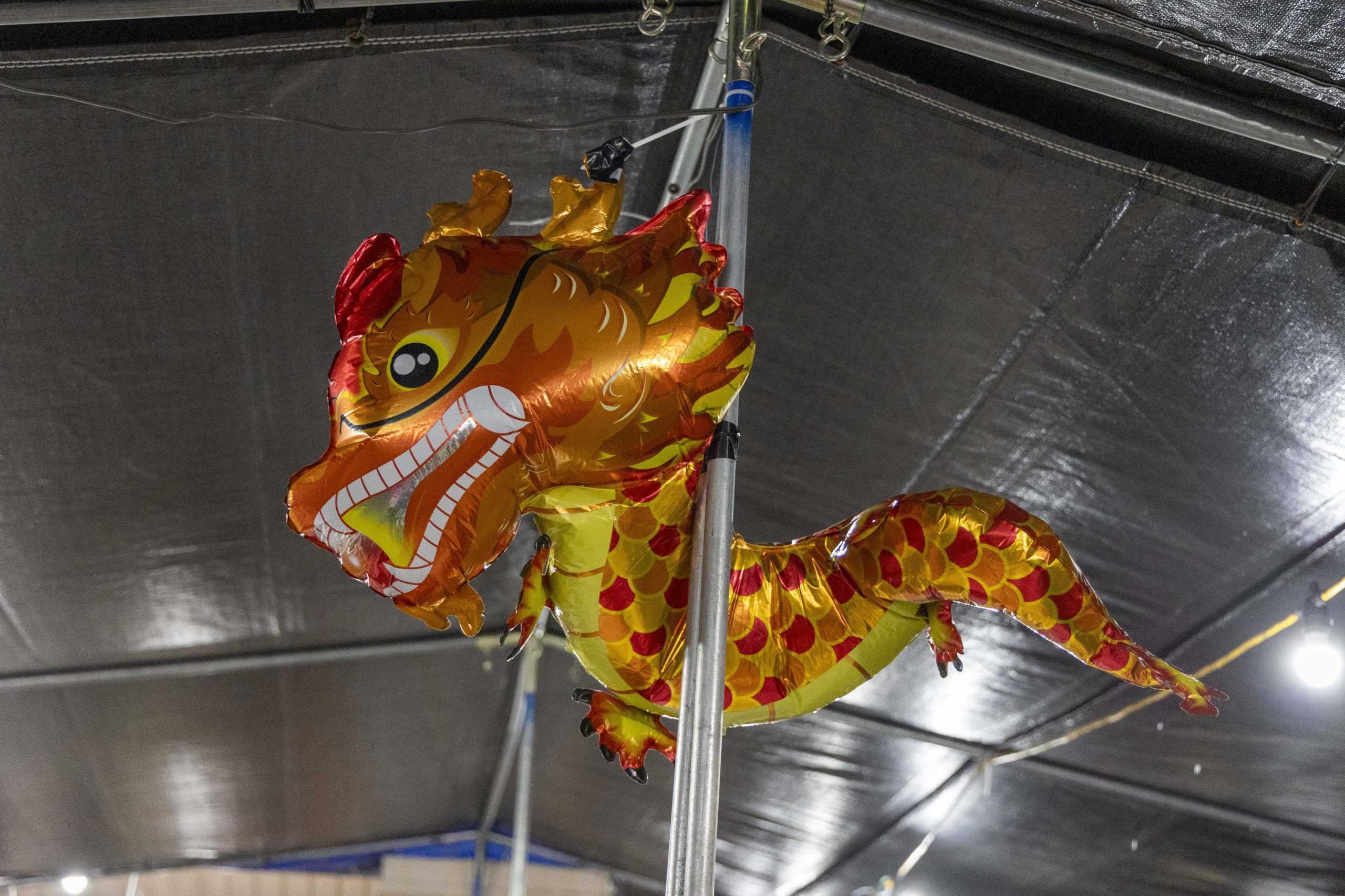 PHOTOS: Flying into the Year of the Dragon