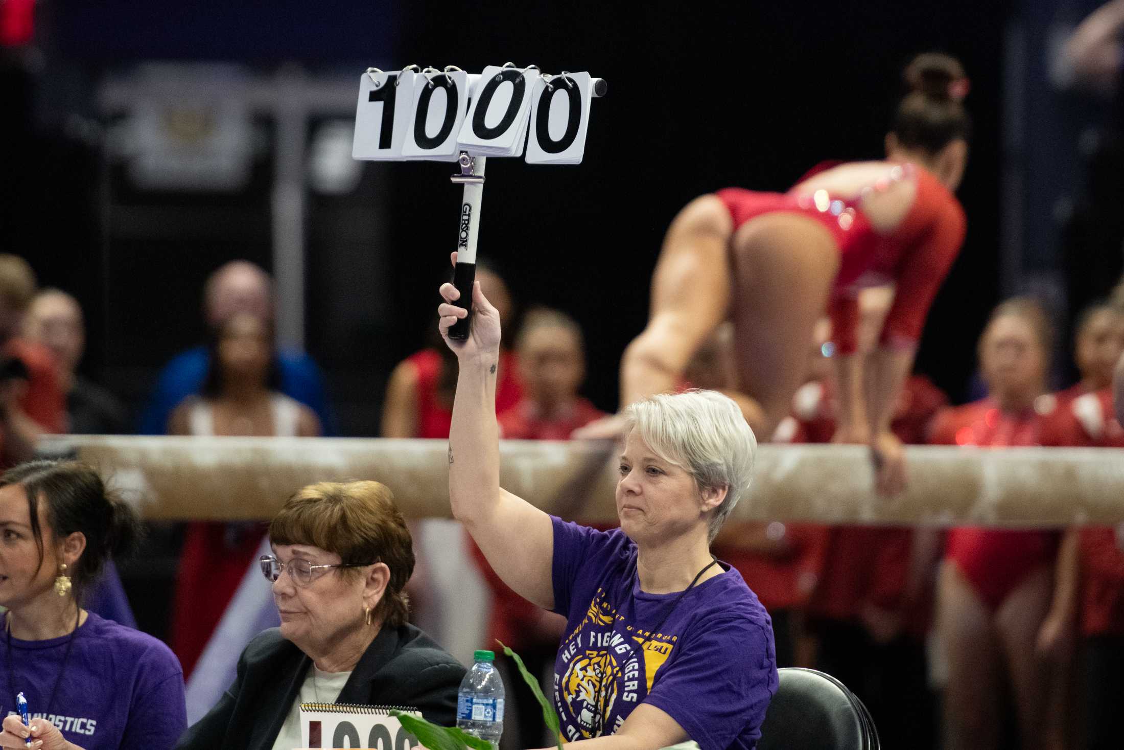 PHOTOS: A journey through LSU gymnastics' championship season