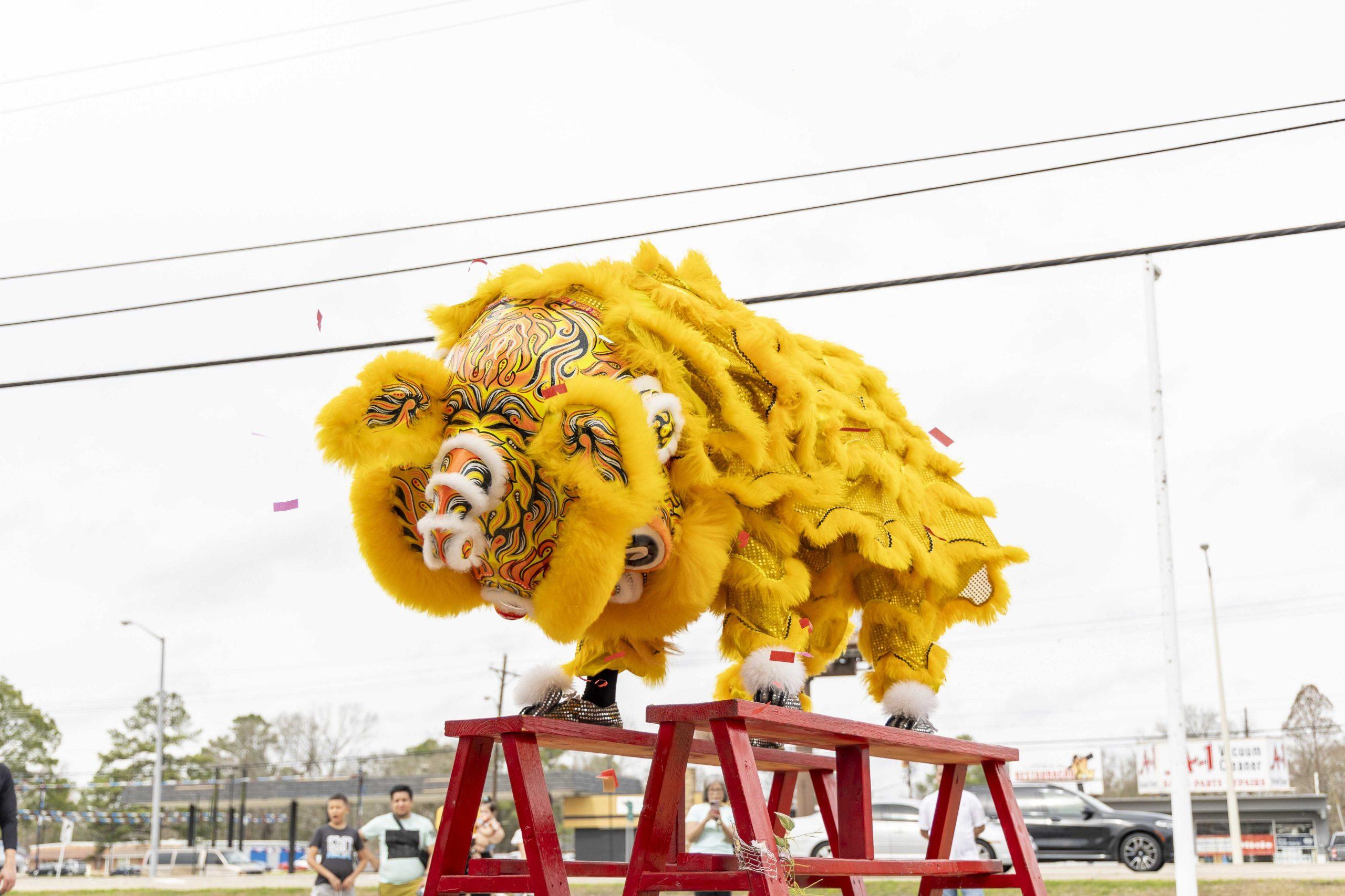 PHOTOS: A Lunar New Year celebration in Baton Rouge