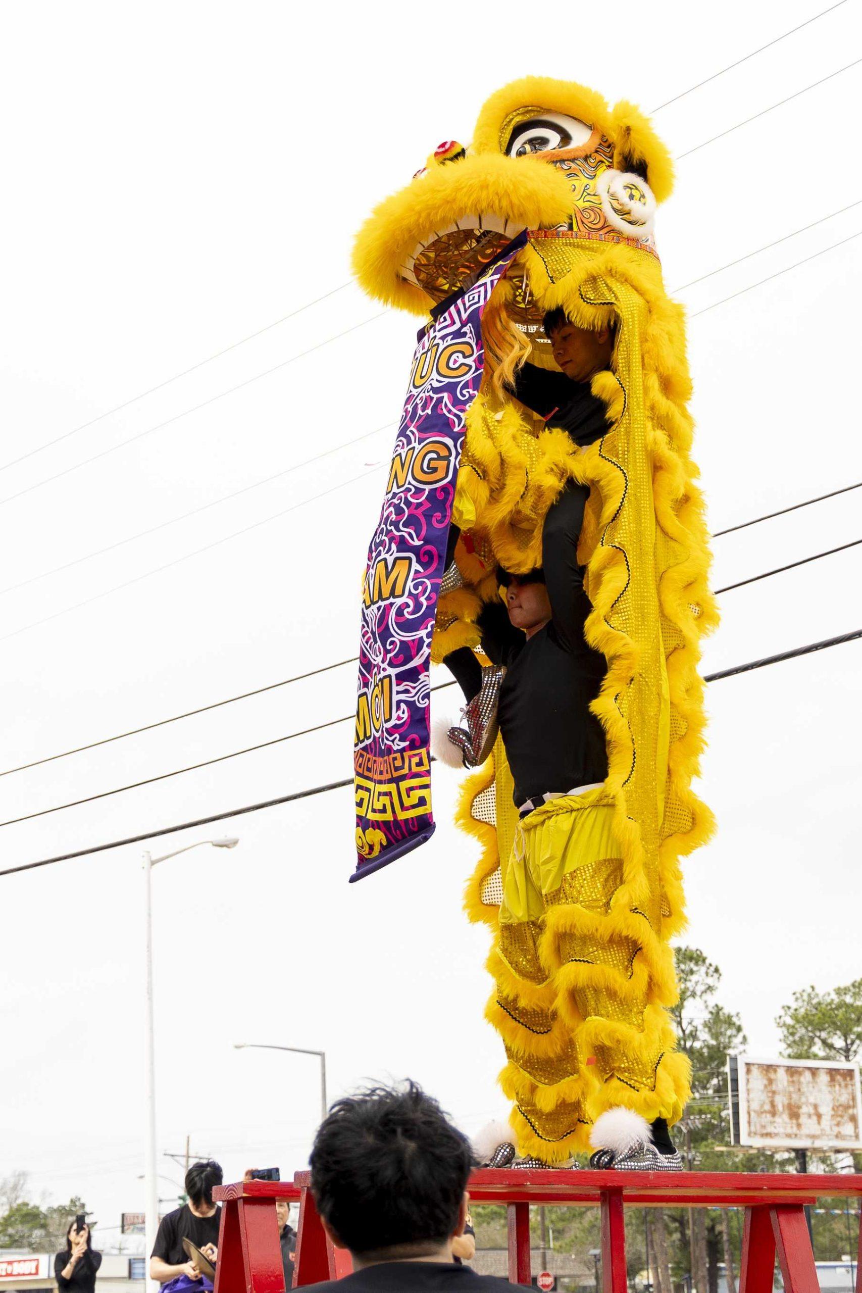 PHOTOS: A Lunar New Year celebration in Baton Rouge