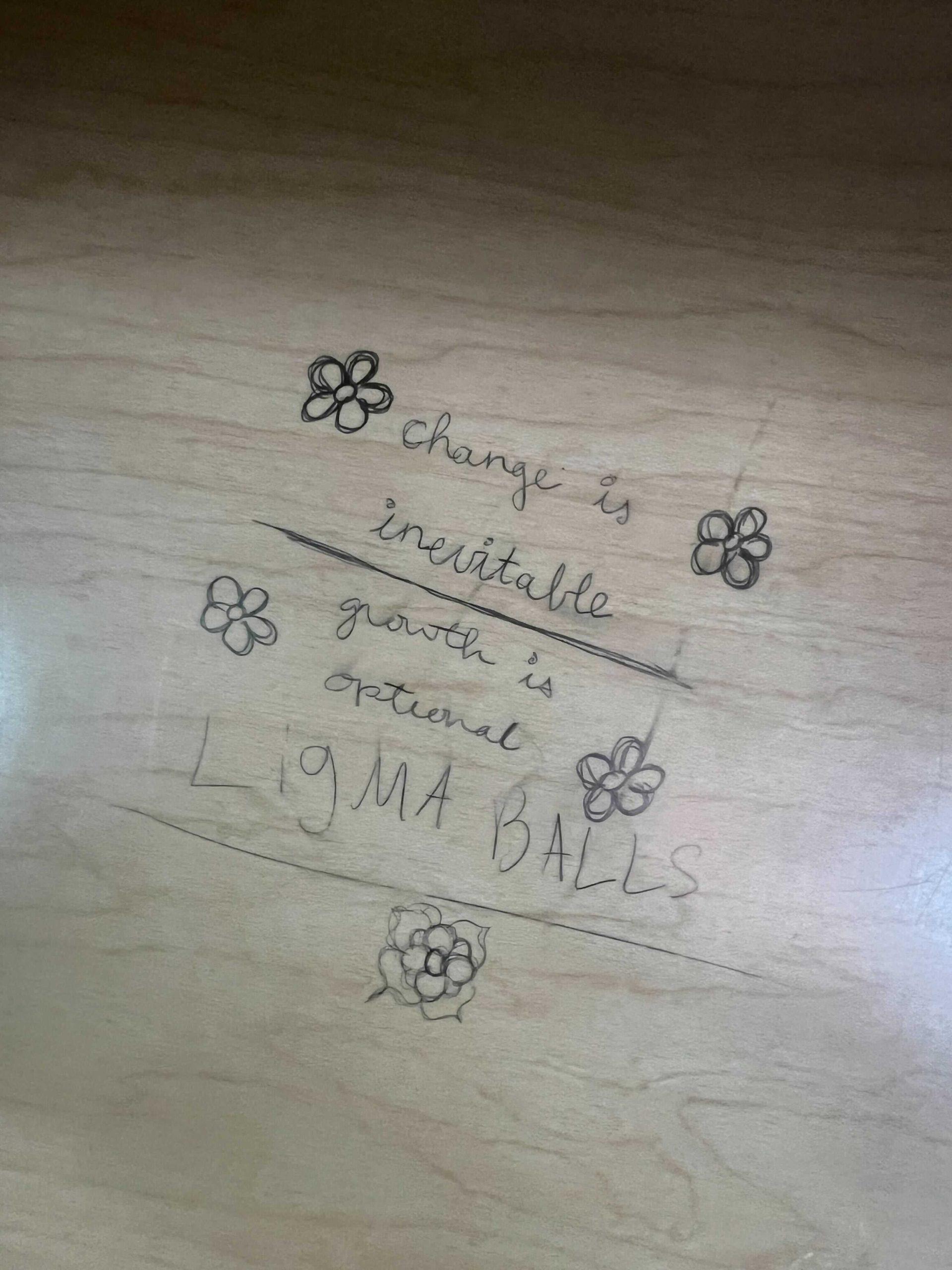 Opinion: The 10 greatest pieces of LSU library graffiti, ranked