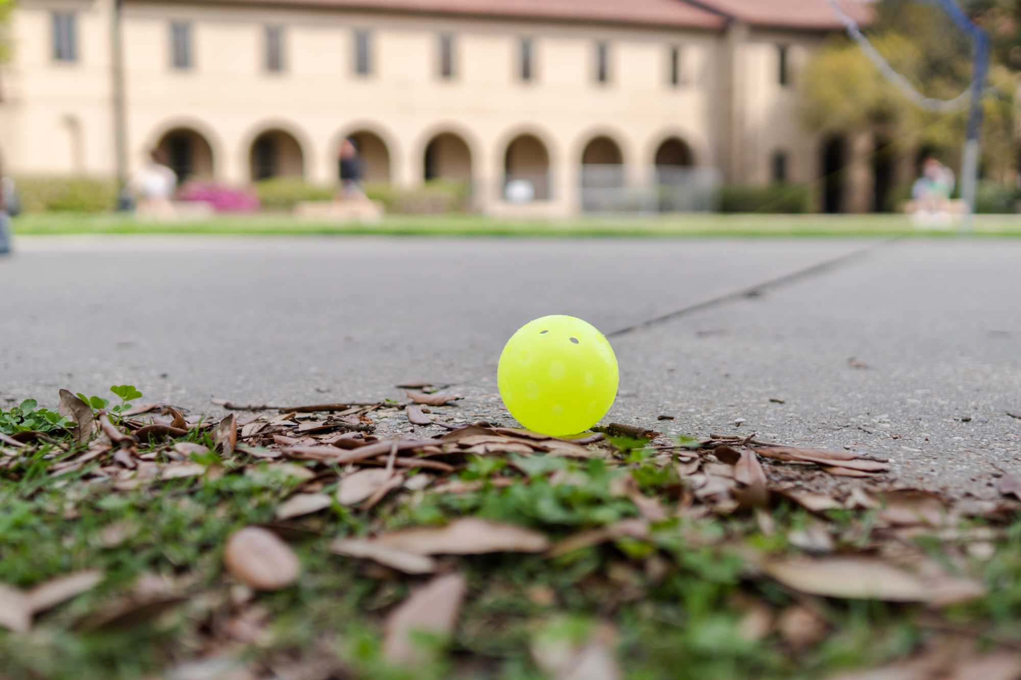 PHOTOS: LSU men's tennis plays pickleball with students in the Quad