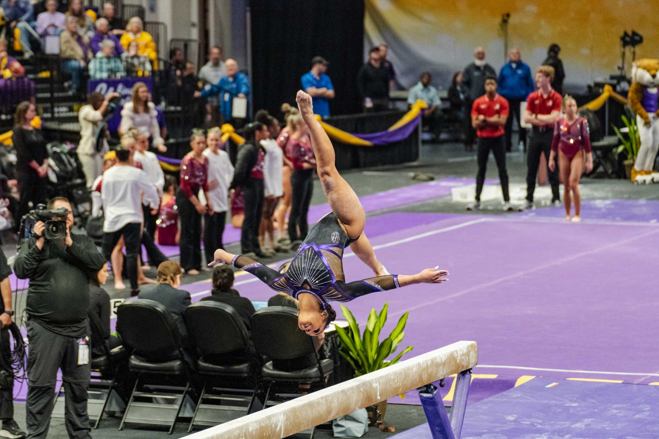 PHOTOS: LSU gymnastics defeats Alabama 198.325-197.325 in the PMAC