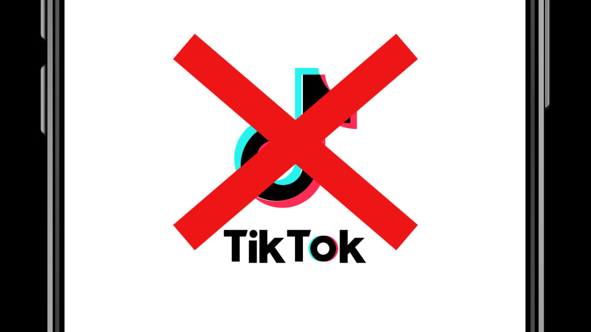 tiktok ban.png