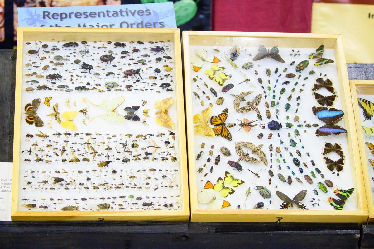 The display shows different insects on Wednesday, March 20, 2024, in the John M. Parker Agricultural Coliseum on Ag Center Lane in Baton Rouge, La.