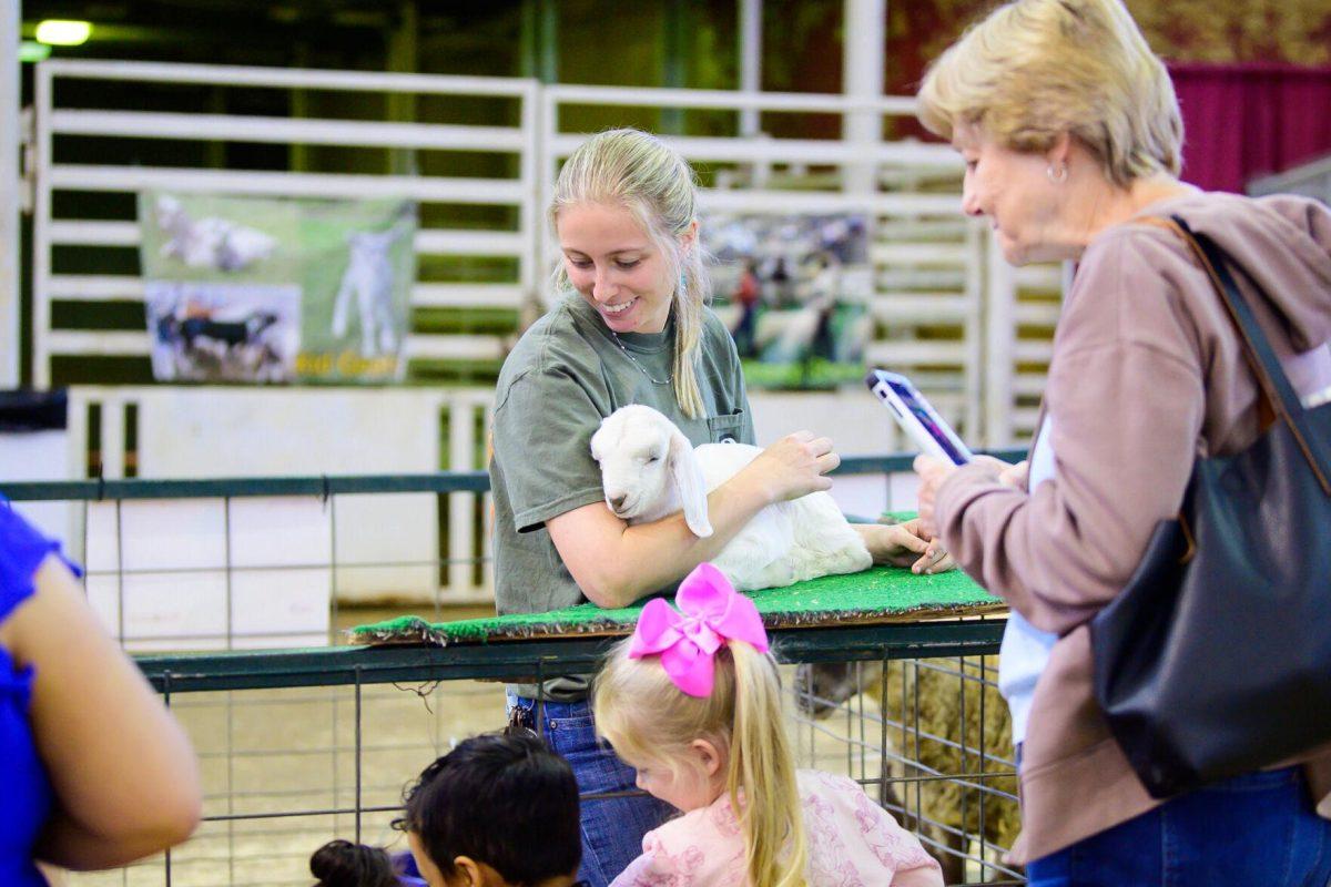 The lamb rests its head on Wednesday, March 20, 2024, in the John M. Parker Agricultural Coliseum on Ag Center Lane in Baton Rouge, La.