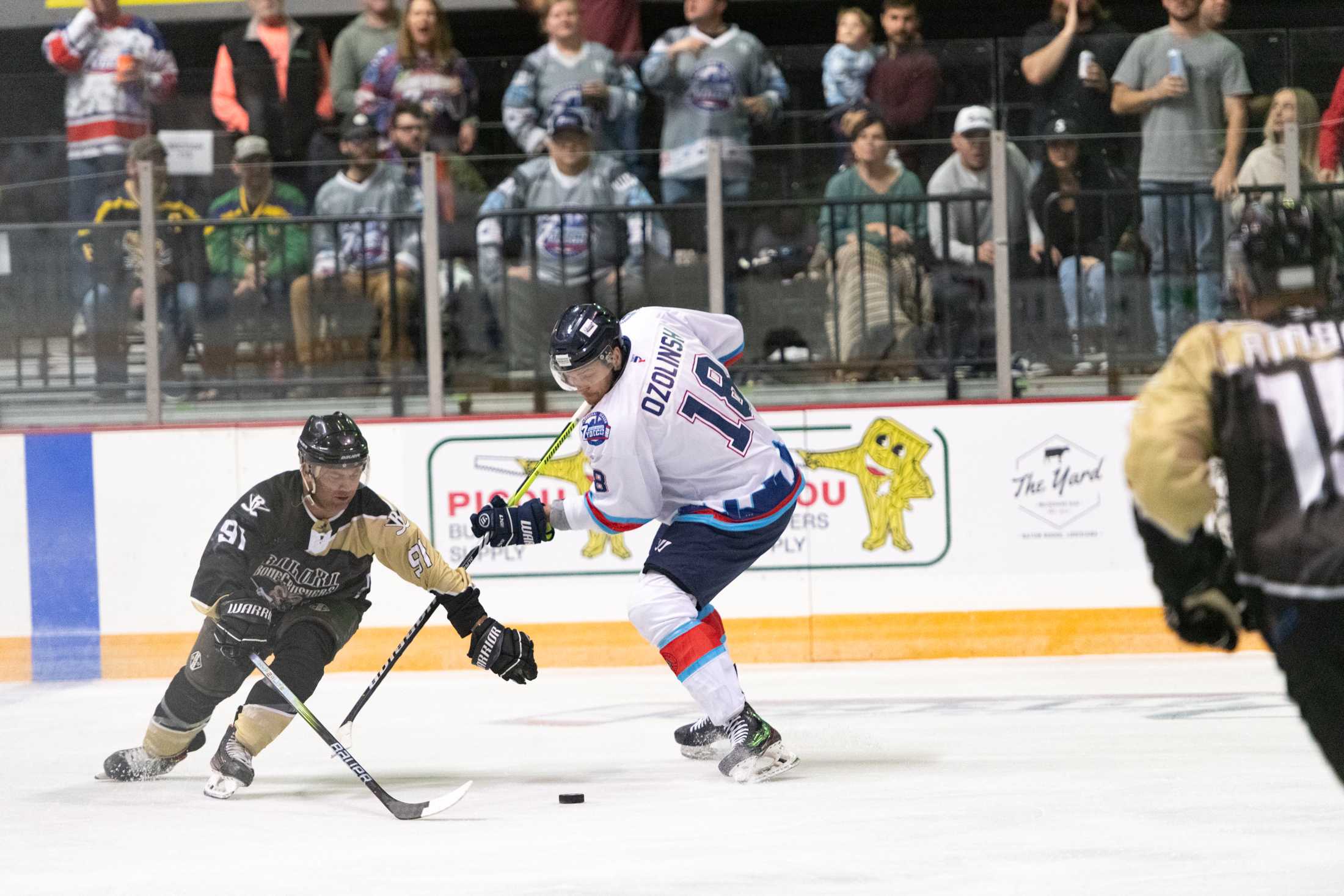 PHOTOS: Baton Rouge Zydeco beats the Carolina Thunderbirds 5-3