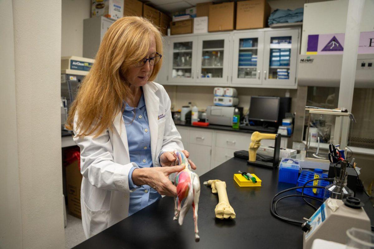 LSU veterinary doctor Mandi Lopez explains her new patented syringe Wednesday, April 17, 2024, at the LSU School of Veterinary Medicine on Skip Bertman Drive in Baton Rouge, La.