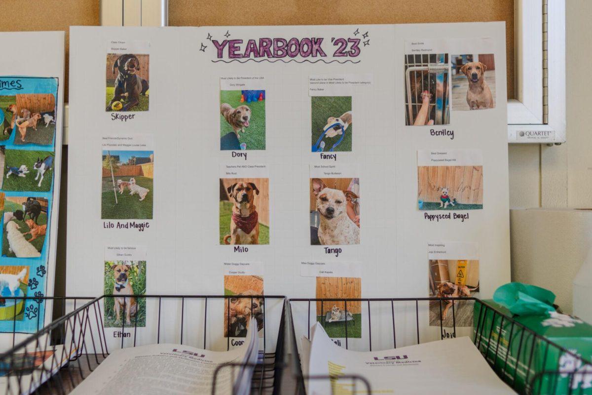 A poster board shows off various dogs Friday, April 26, 2024, at the doggy daycare facility at the LSU School of Veterinary Medicine in Baton Rouge, La.