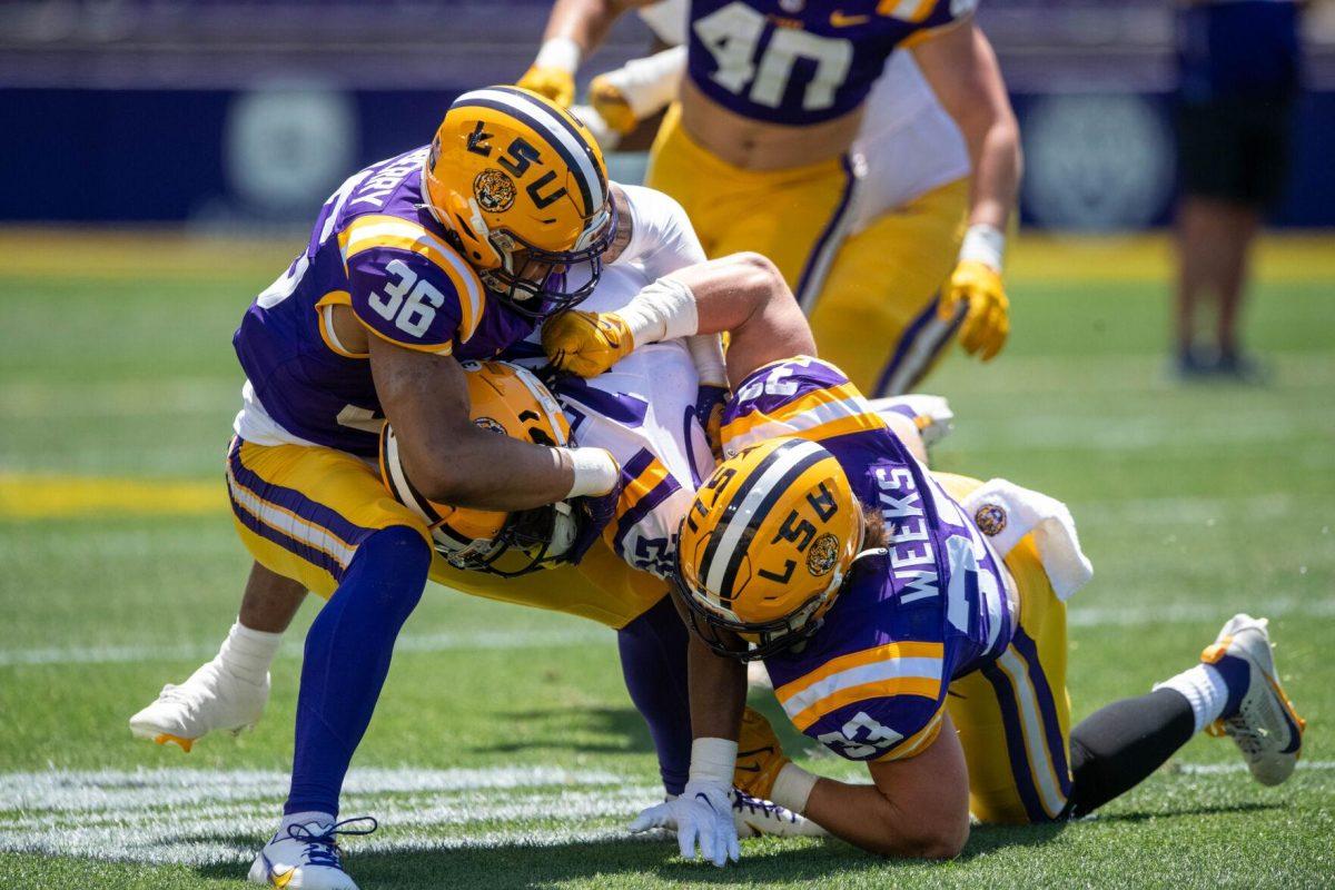 LSU football senior linebacker West Weeks (33) and redshirt sophomore safety Austin Ausberry (36) tackle their teammate on the 'opposing' side during the LSU Spring Football game on Saturday, April 13, 2024, in Tiger Stadium.