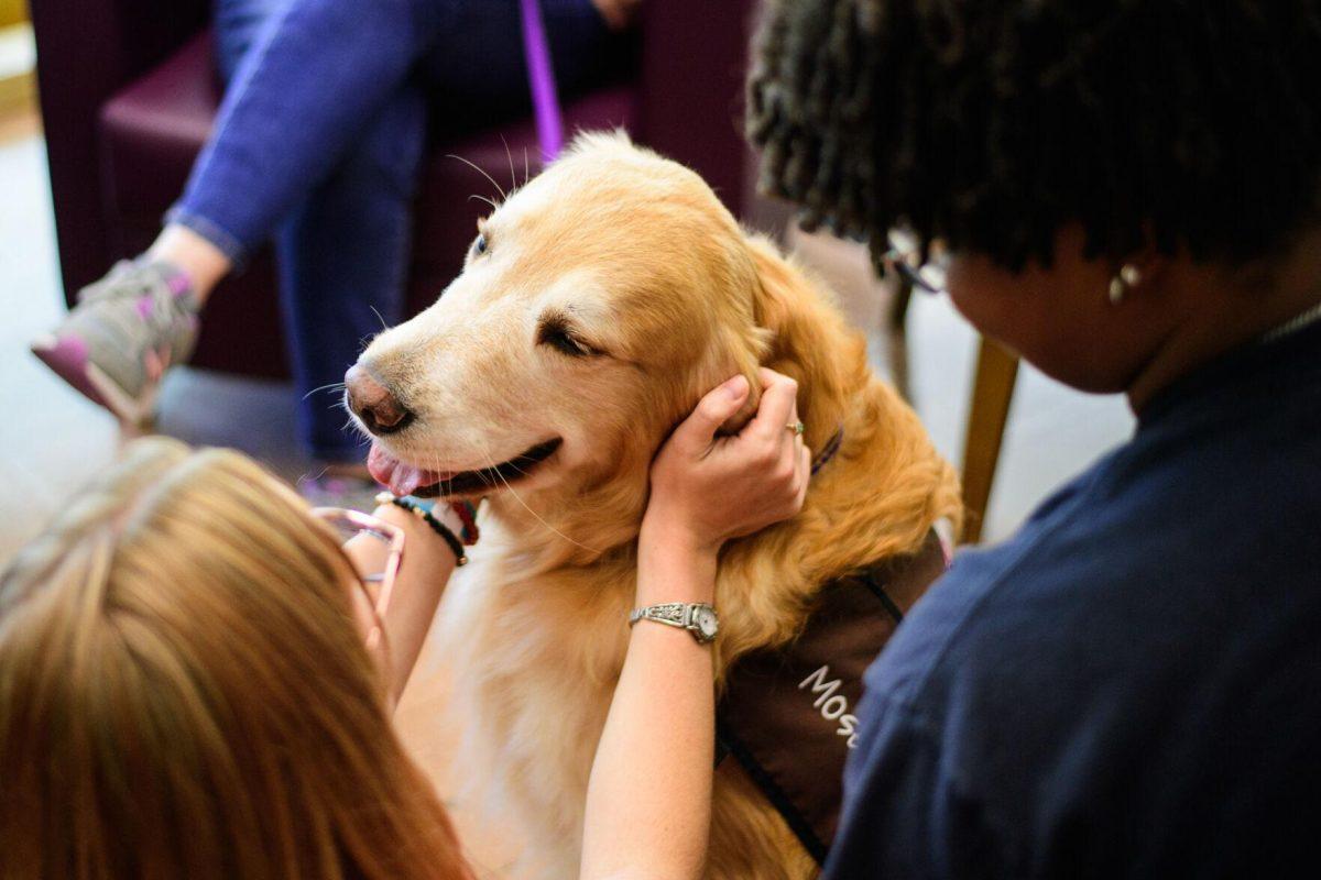 Moses smiles at an LSU student on Tuesday, April 30, 2024, in the LSU Library in Baton Rouge, La.