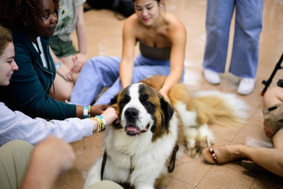 The dog is pet by LSU students on Tuesday, April 30, 2024, in the LSU Library in Baton Rouge, La.