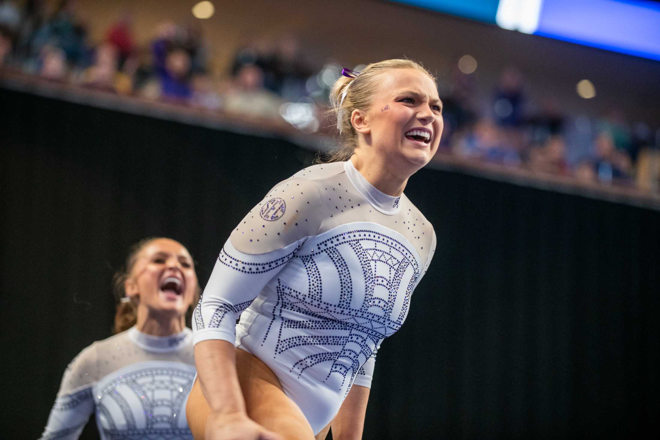 PHOTOS: A journey through LSU gymnastics' championship season