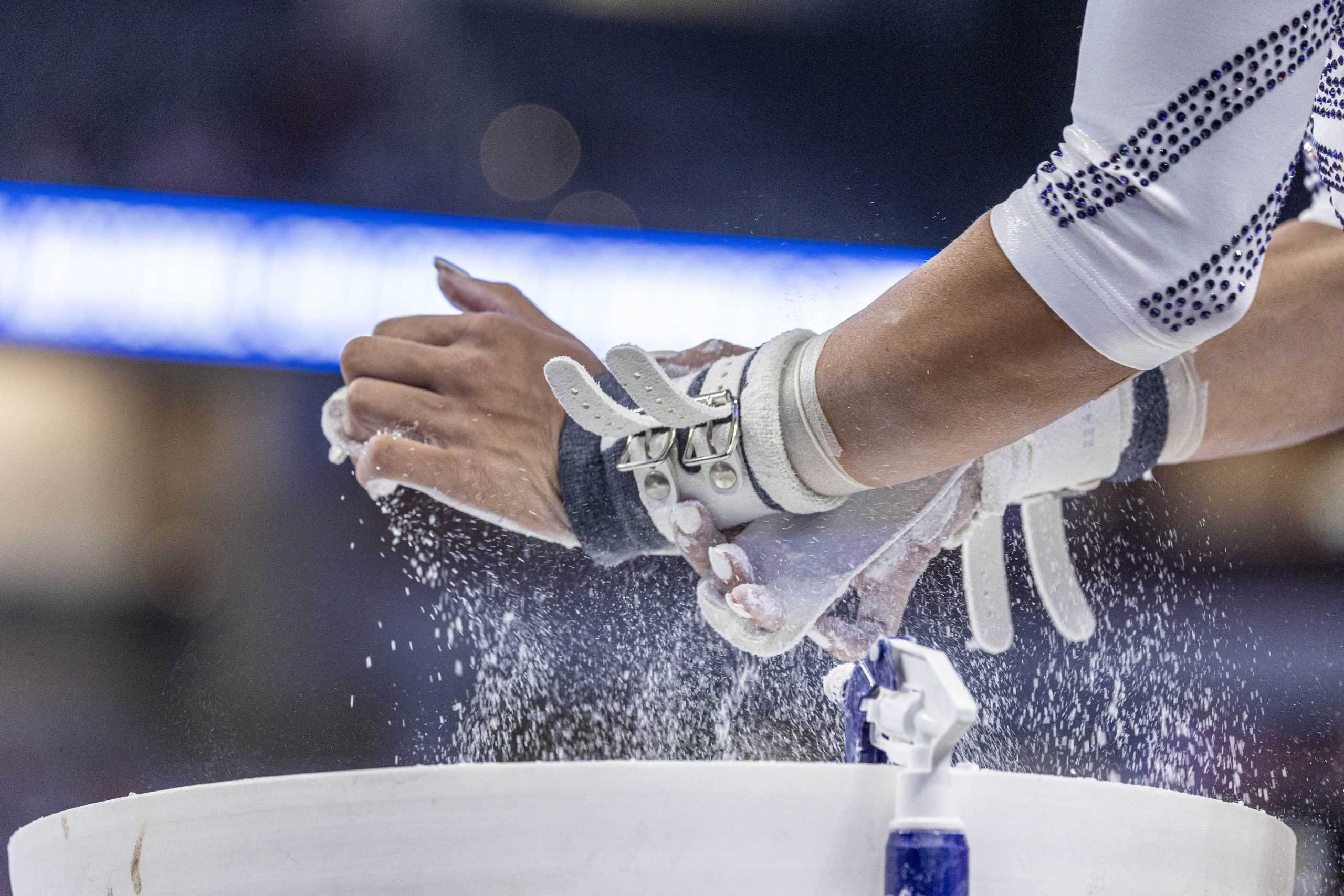 PHOTOS: A journey through LSU gymnastics' championship season