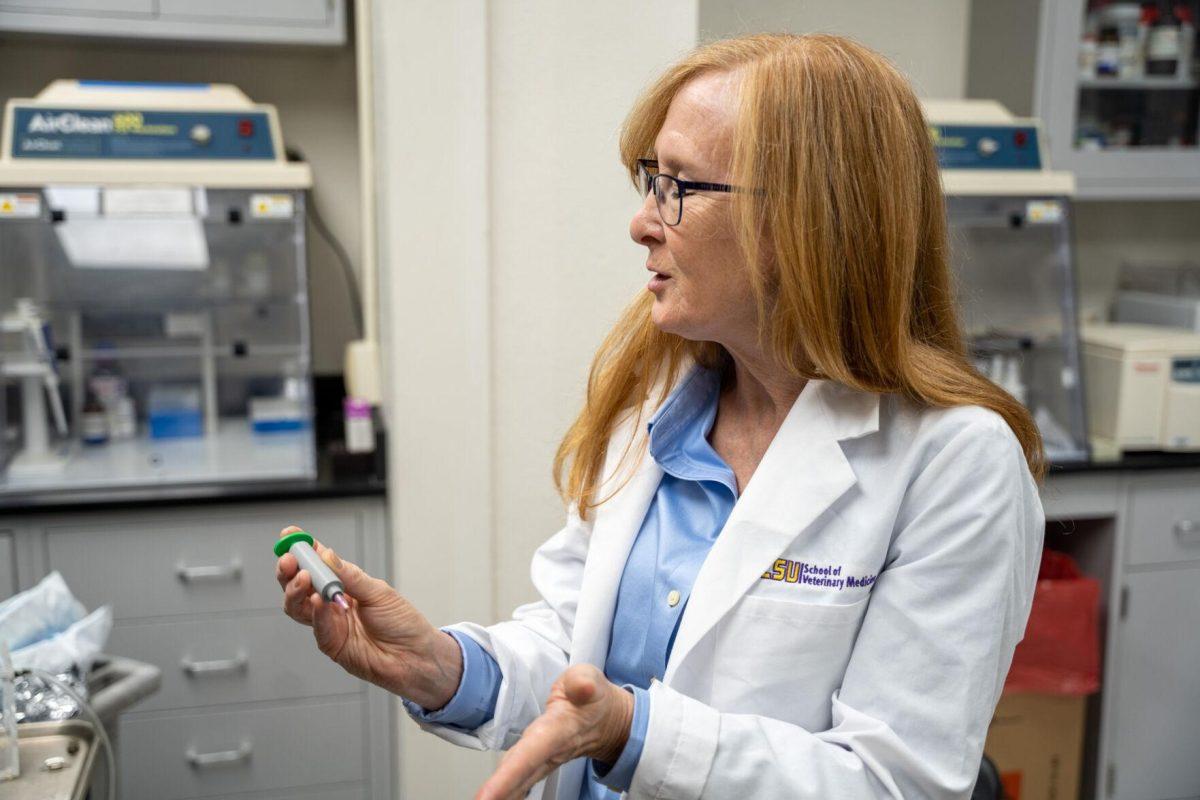 LSU veterinary doctor Mandi Lopez explains her new patented syringe Wednesday, April 17, 2024, at the LSU School of Veterinary Medicine on Skip Bertman Drive in Baton Rouge, La.