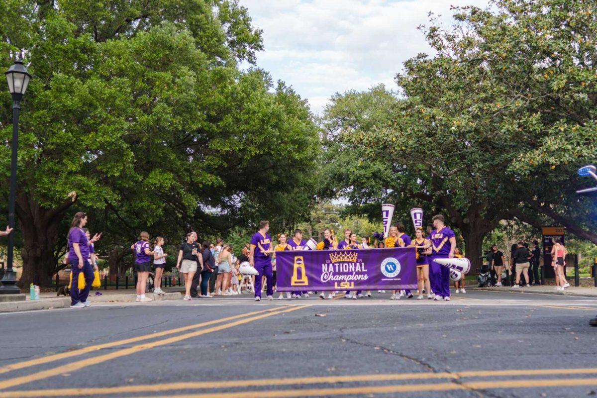 The parade begins with the LSU cheerleaders leading Wednesday, April 24, 2024, at the LSU gymnastics championship parade on LSU's campus in Baton Rouge, La.