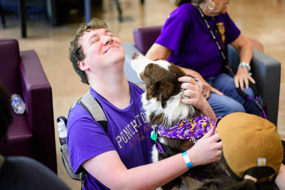 The collie gives an LSU student a kiss on Tuesday, April 30, 2024, in the LSU Library in Baton Rouge, La.