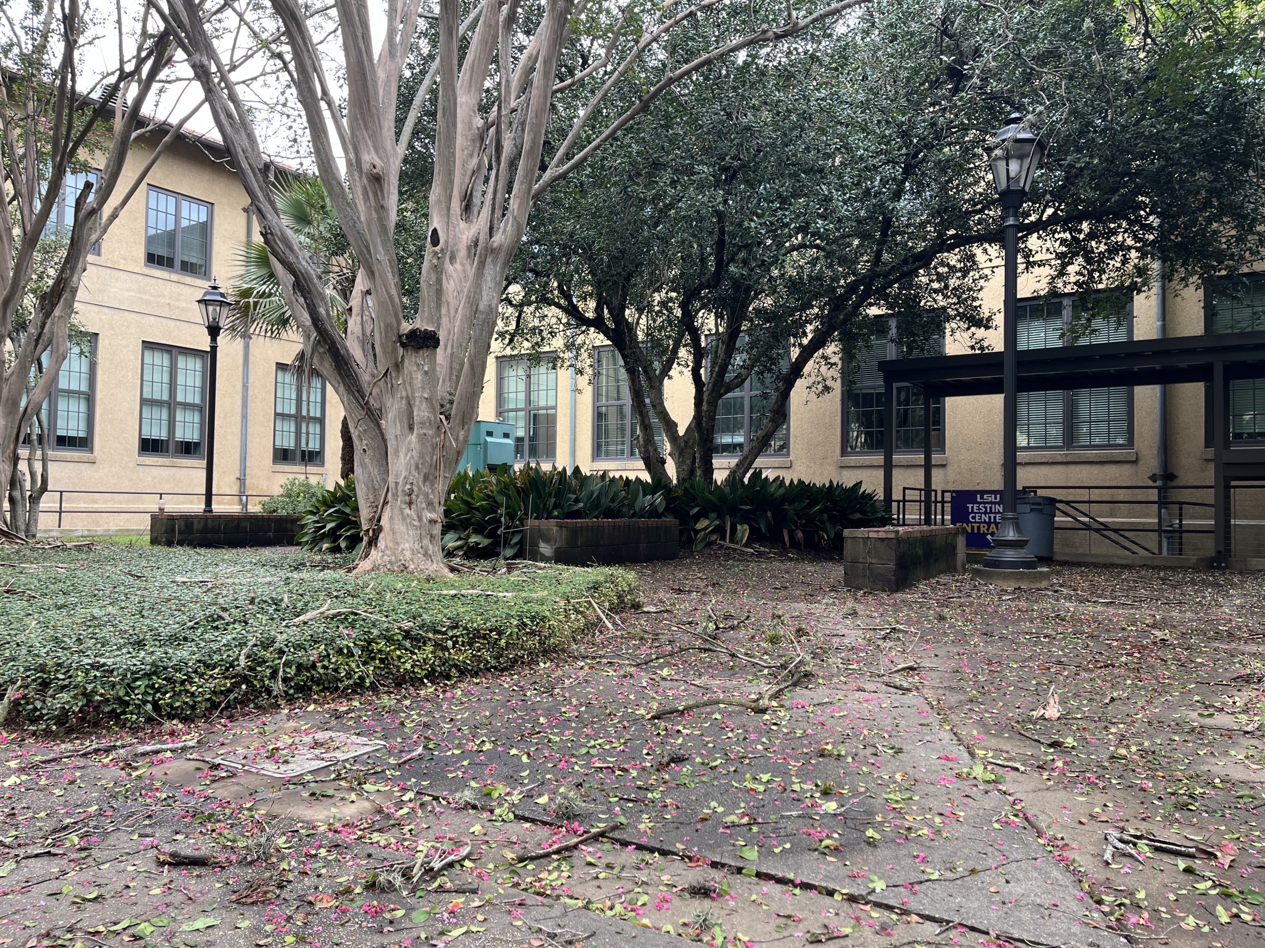 The morning after Hurricane Francine: How LSU students weathered the storm inside dorms