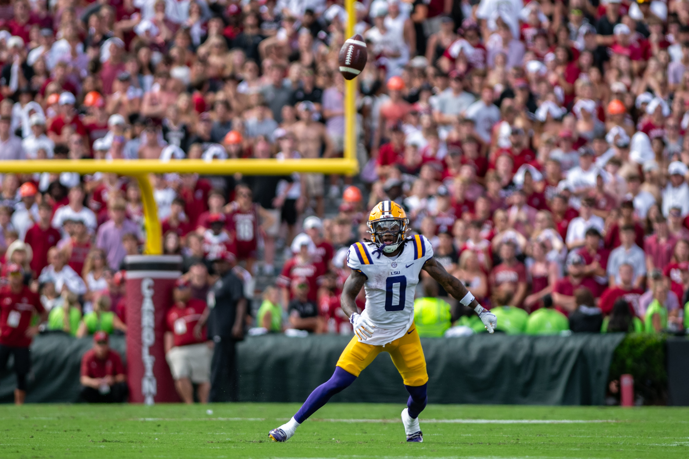 PHOTOS: LSU football beats South Carolina 36-33 on the road