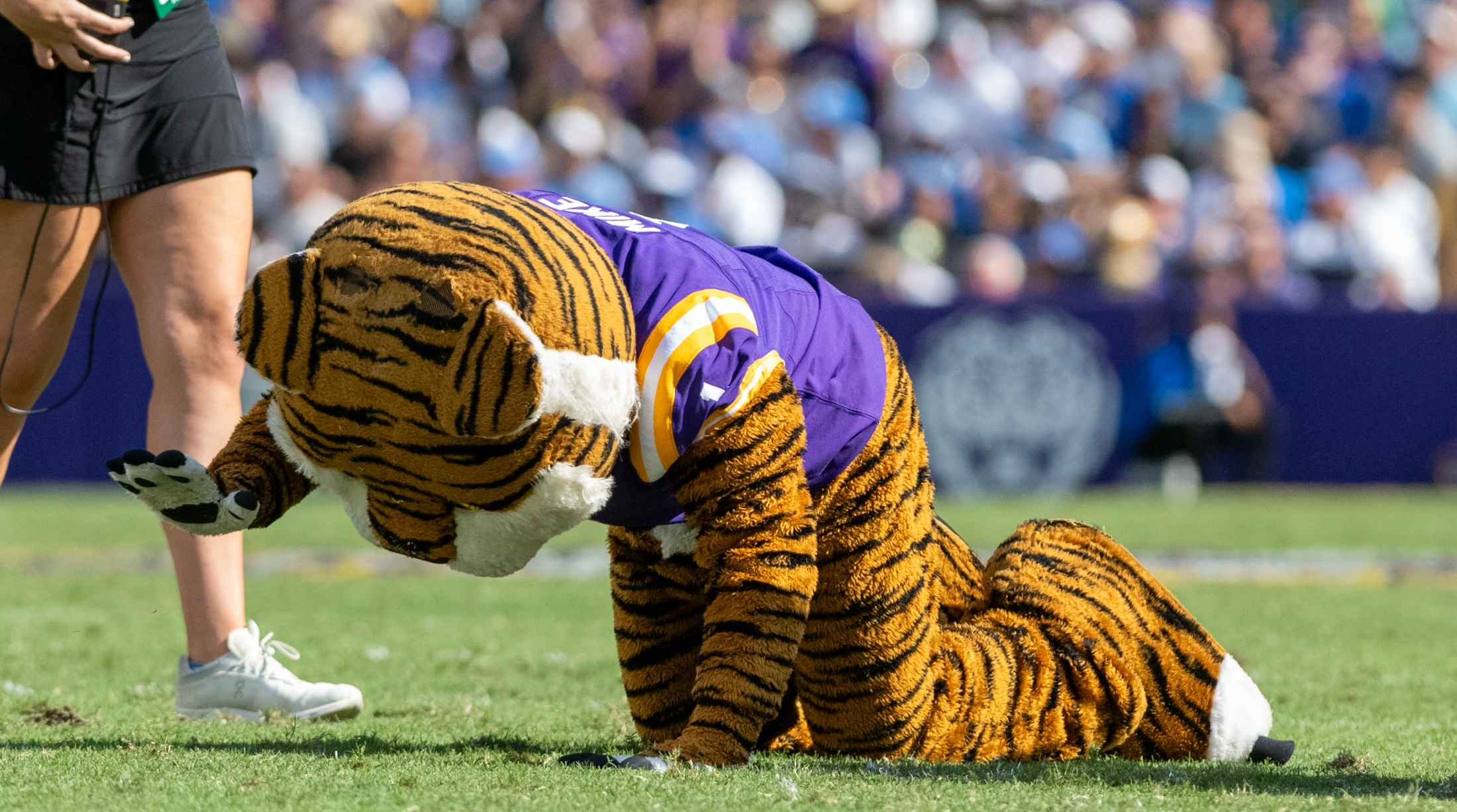 PHOTOS: LSU football defeats UCLA 34-17