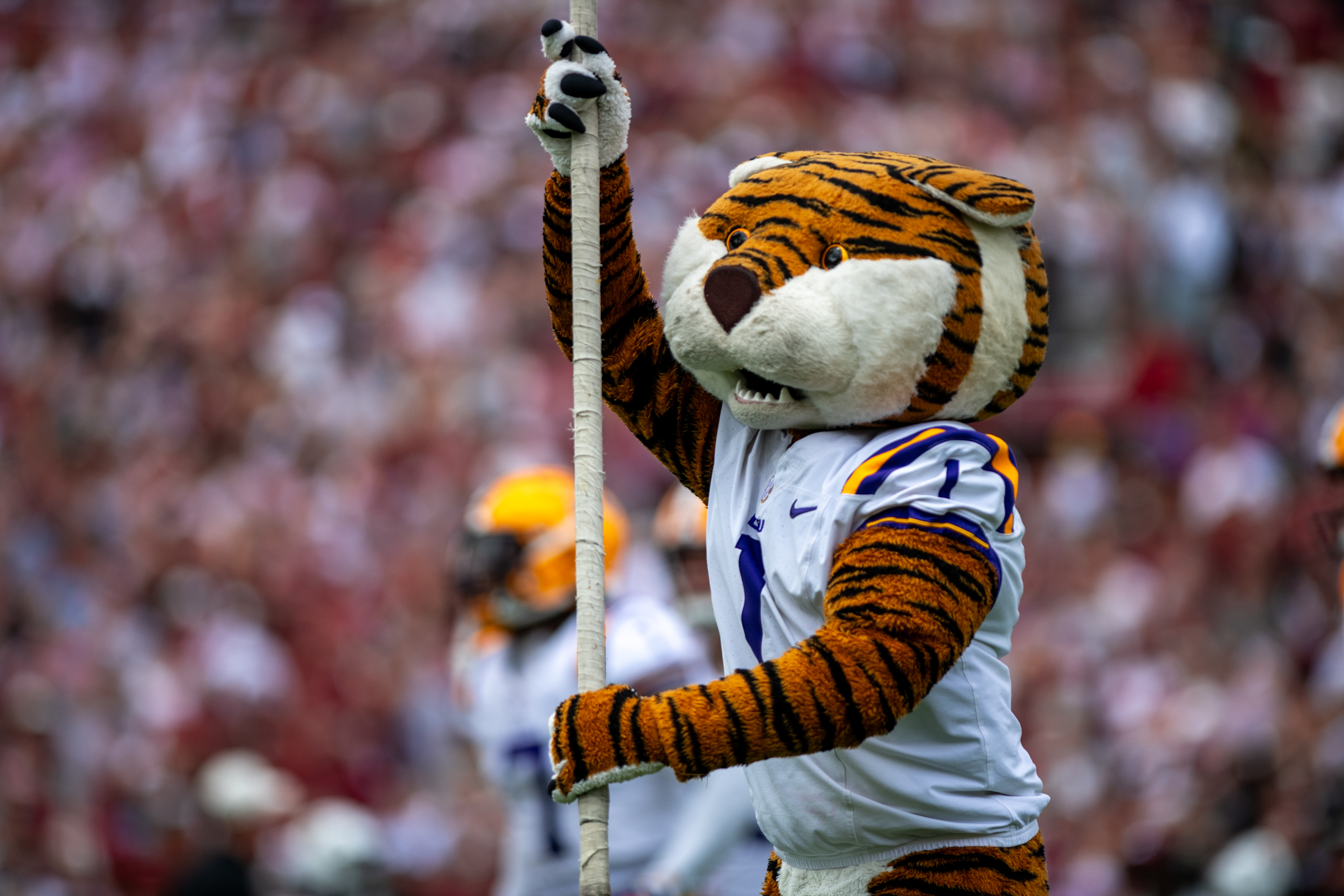 PHOTOS: LSU football beats South Carolina 36-33 on the road