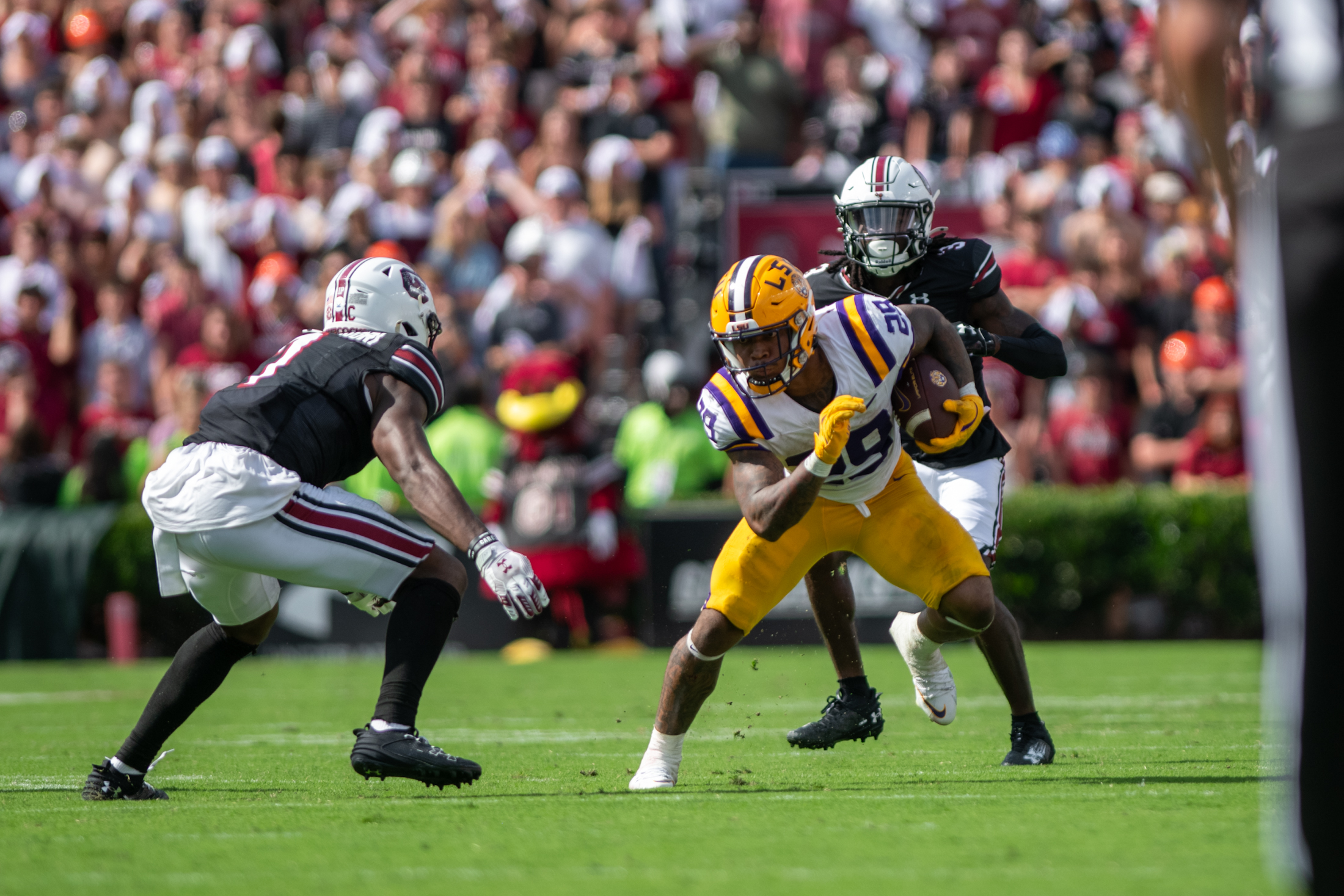 PHOTOS: LSU football beats South Carolina 36-33 on the road