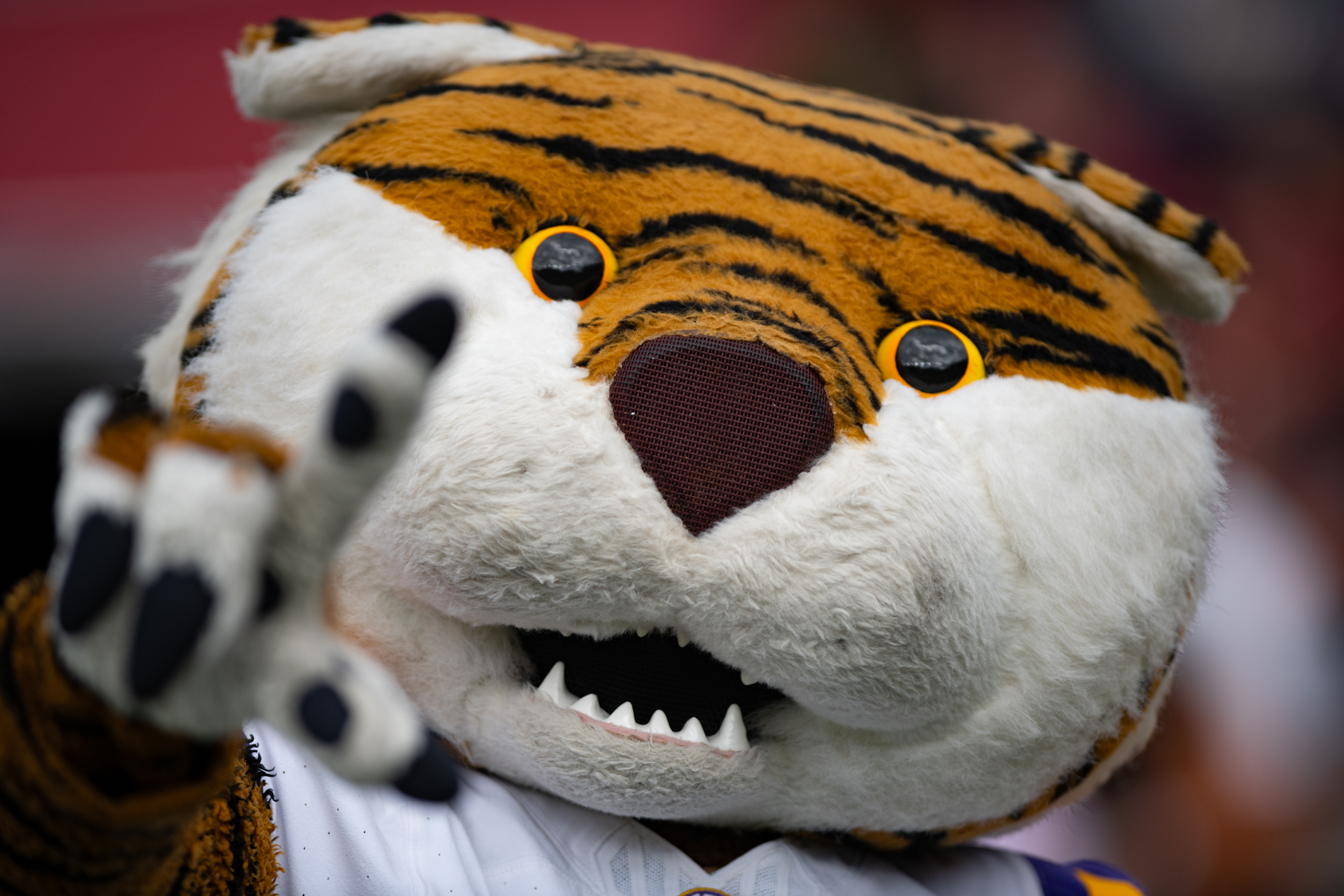 PHOTOS: LSU football beats South Carolina 36-33 on the road